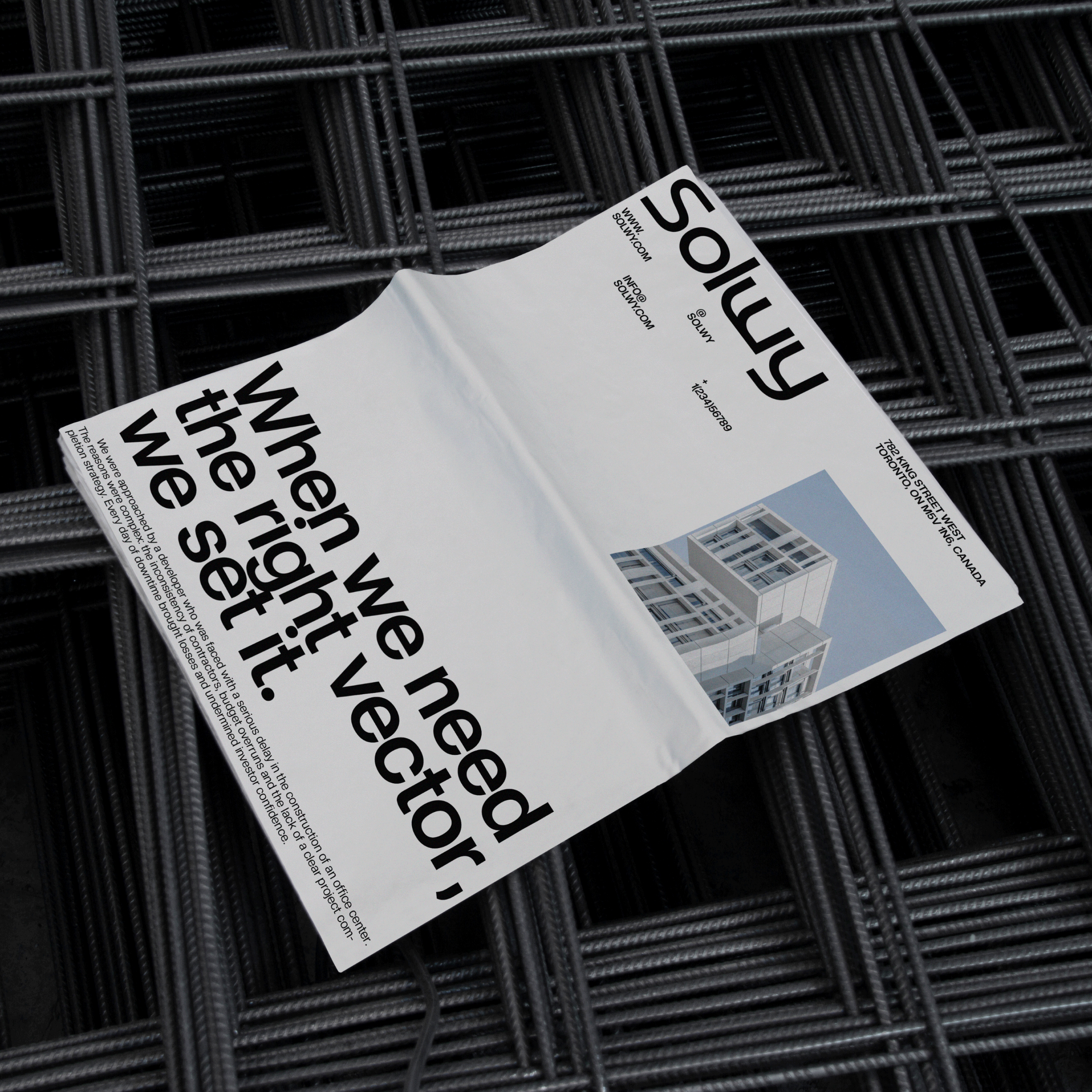 Solwy | Айдентика для консалтинговой компании — Изображение №2 — Брендинг, Графика на Dprofile