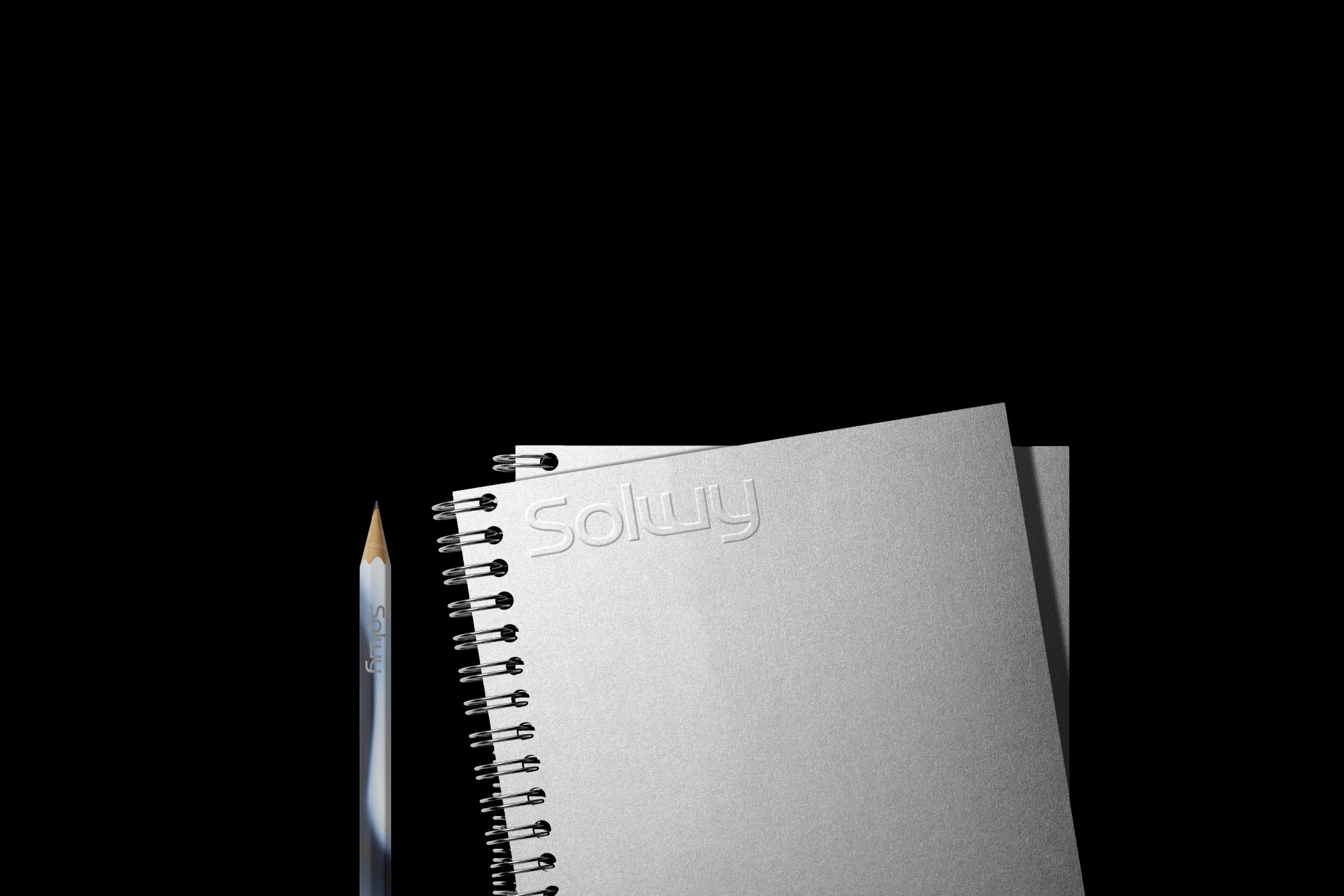 Solwy | Айдентика для консалтинговой компании — Изображение №16 — Брендинг, Графика на Dprofile