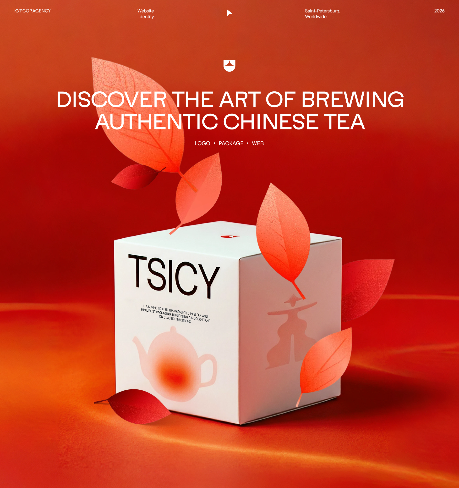 TSICY — Изображение №1 — Интерфейсы, Брендинг на Dprofile