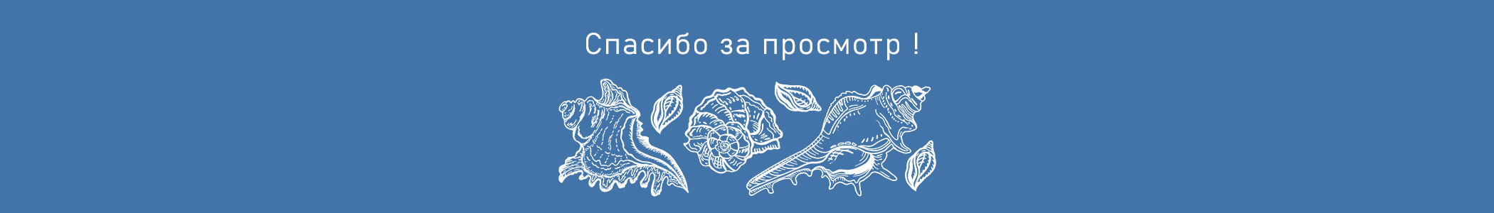 Корабли, ракушки, звёзды — Изображение №7 — Брендинг, Иллюстрация на Dprofile