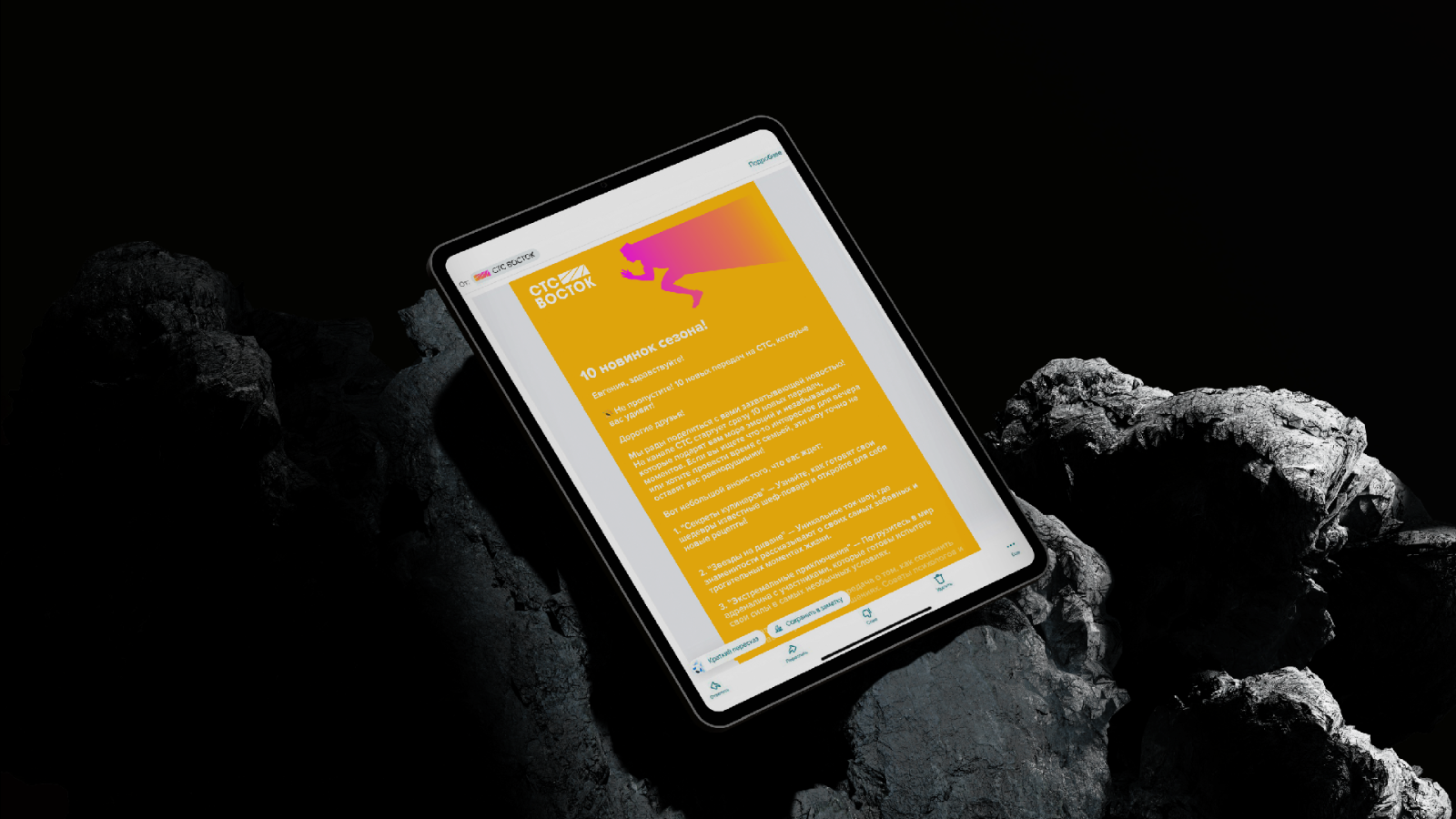 СТС ВОСТОК — Изображение №8 — Брендинг на Dprofile