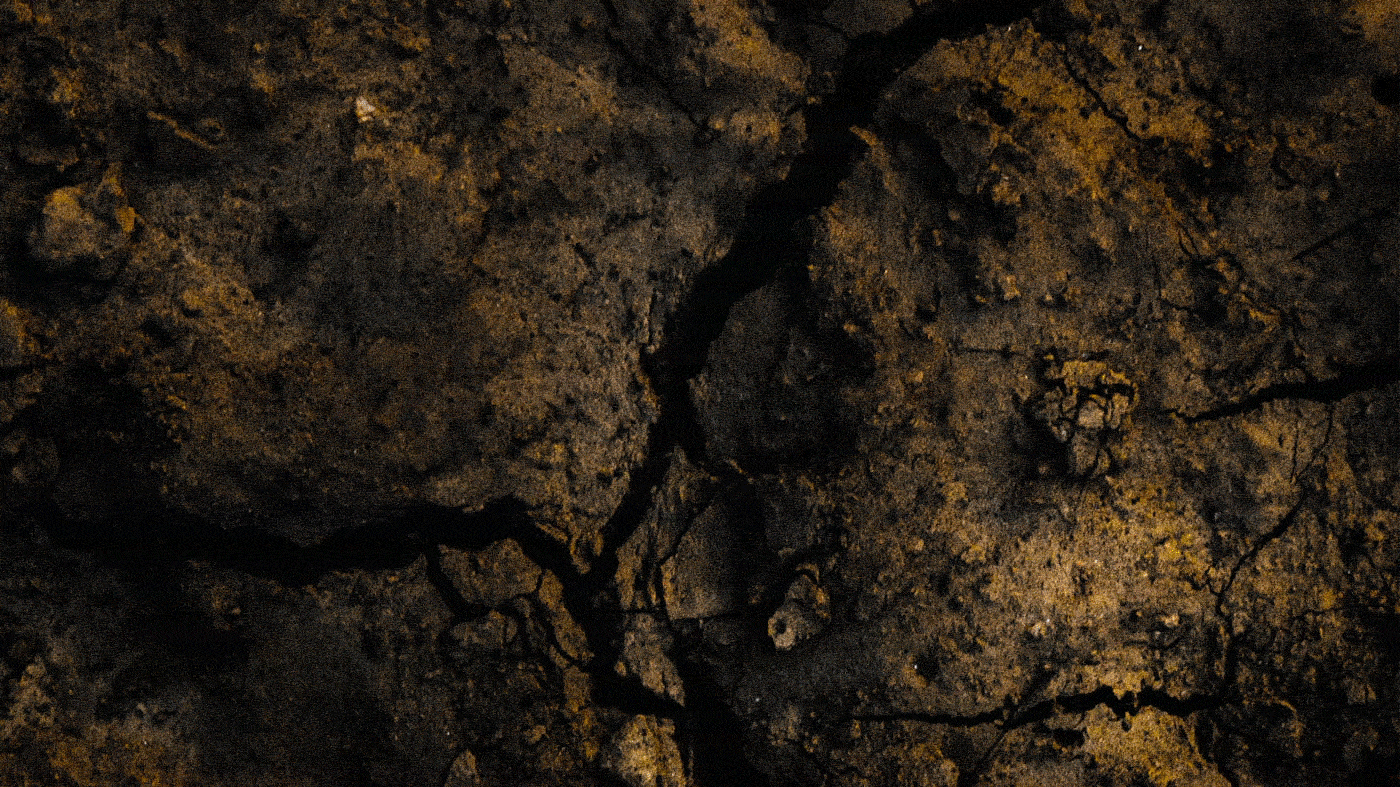 Магазин продуктов/ логотип и фирменный стиль — Изображение №6 — Брендинг на Dprofile