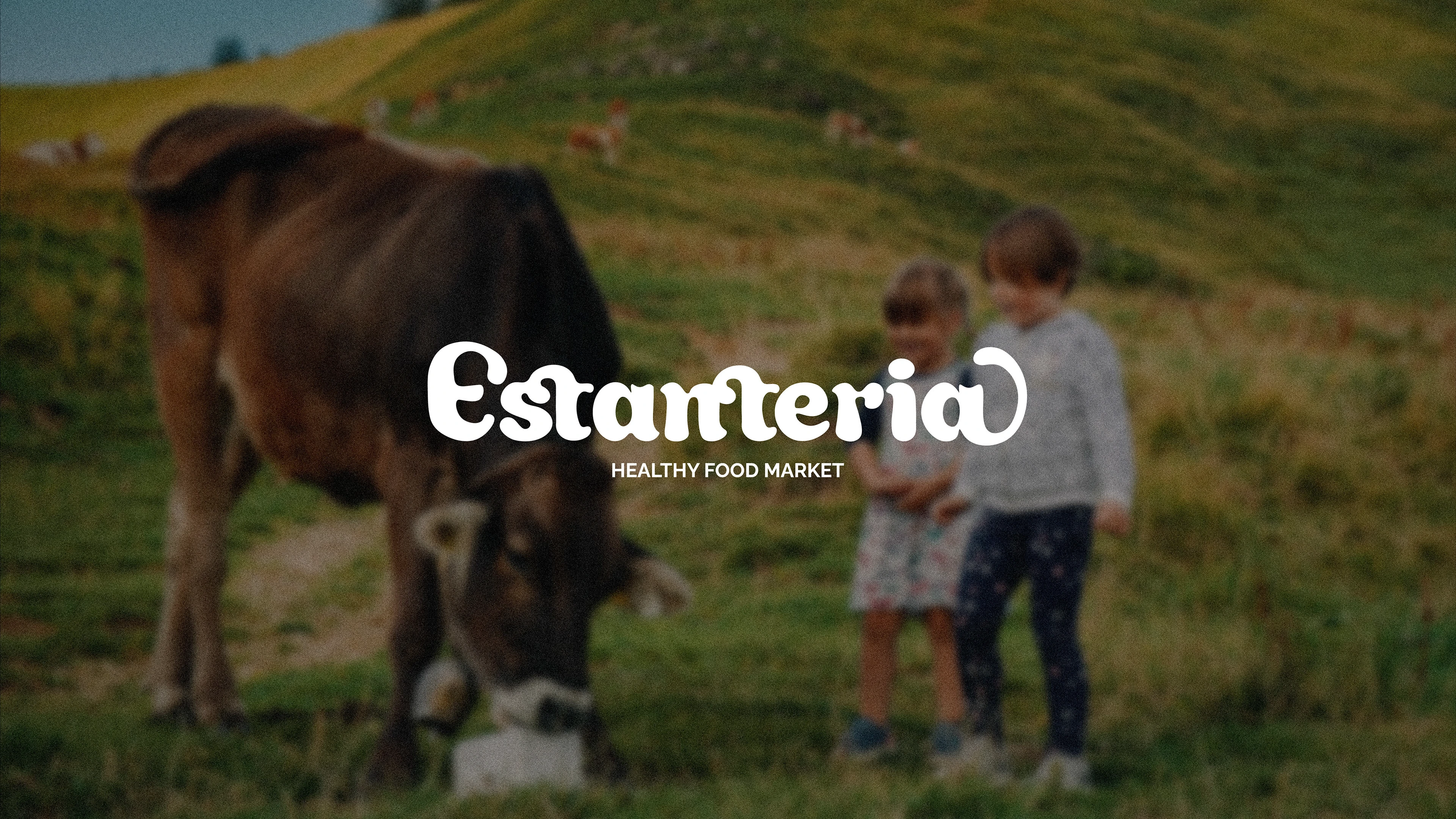 Магазин продуктов/ логотип и фирменный стиль — Изображение №1 — Брендинг на Dprofile