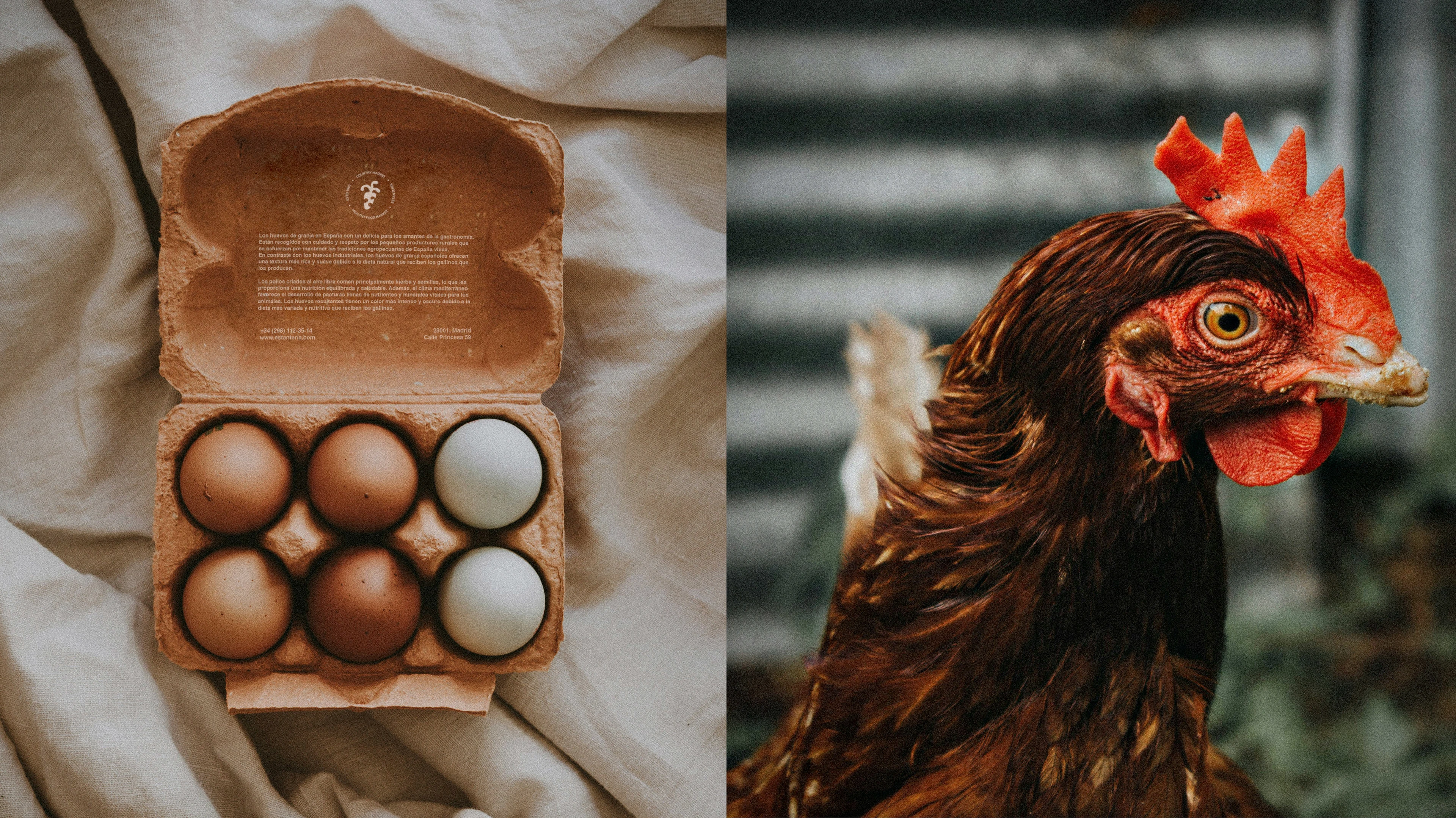 Магазин продуктов/ логотип и фирменный стиль — Изображение №14 — Брендинг на Dprofile