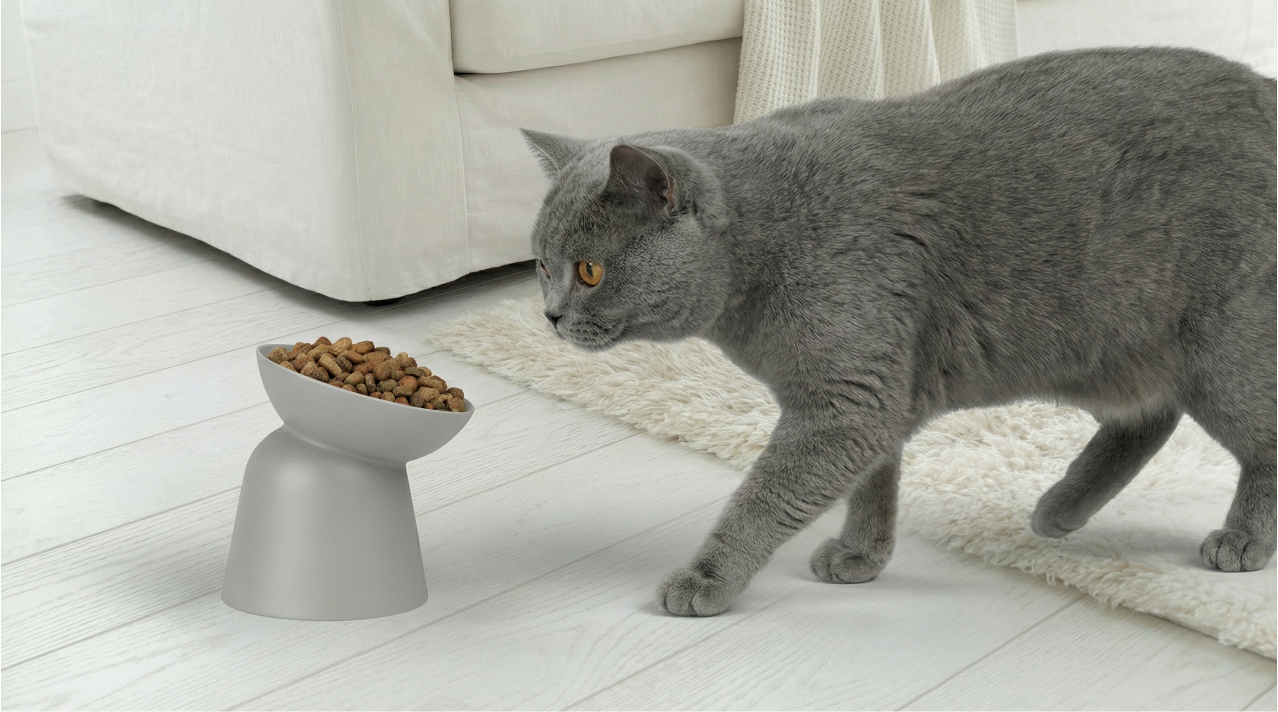 Миска для кошек "Кэтеллит" — Изображение №1 — 3D, Промдизайн на Dprofile