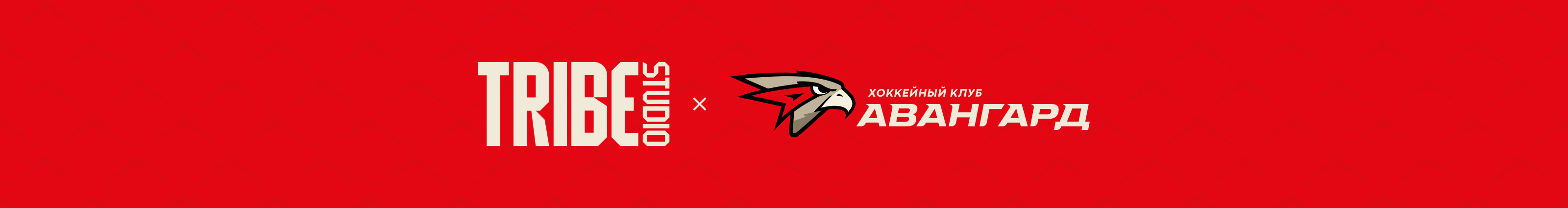 75-летие клуба ХК «Авангард» — Изображение №12 — Интерфейсы, Маркетинг на Dprofile