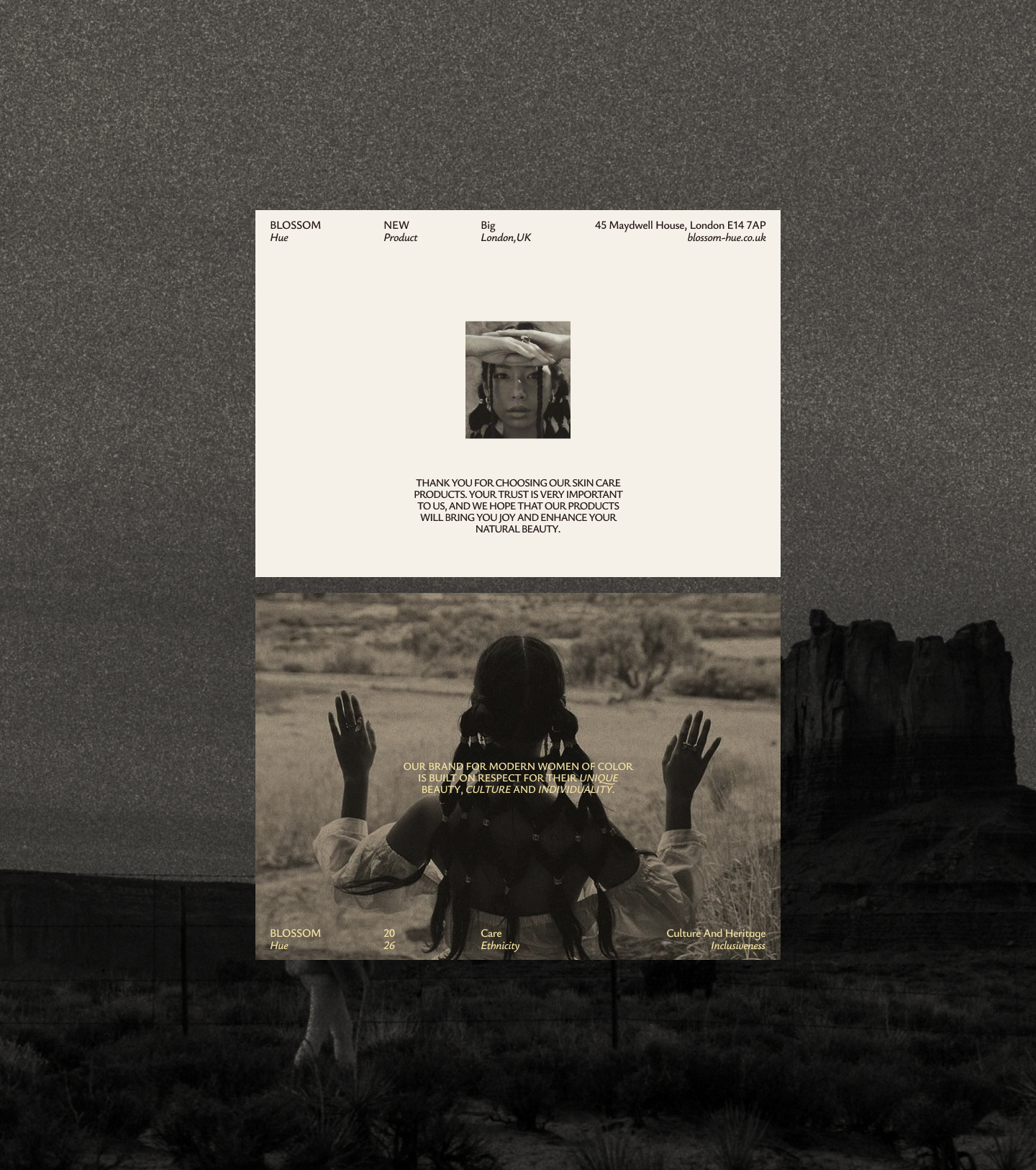 BLOSSOM HUE | Cosmetics Brand — Изображение №15 — Брендинг на Dprofile