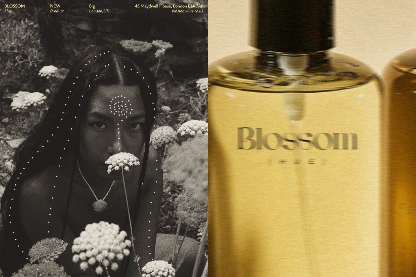 BLOSSOM HUE | Cosmetics Brand — Изображение №3 — Брендинг на Dprofile