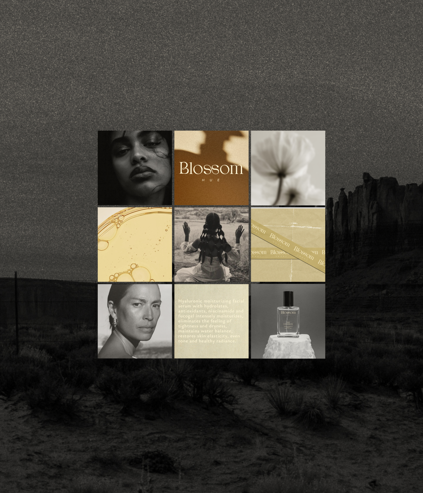 BLOSSOM HUE | Cosmetics Brand — Изображение №17 — Брендинг на Dprofile