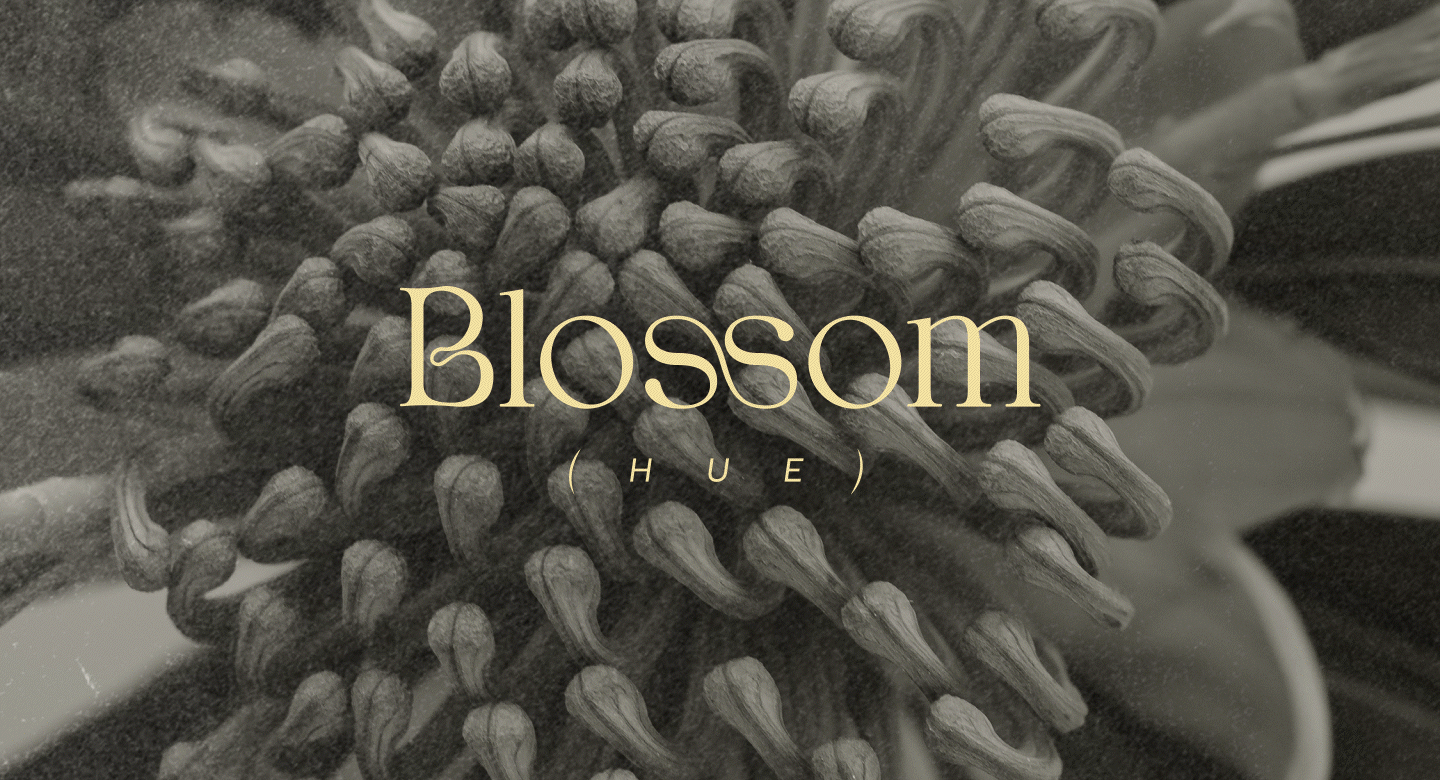 BLOSSOM HUE | Cosmetics Brand — Изображение №21 — Брендинг на Dprofile