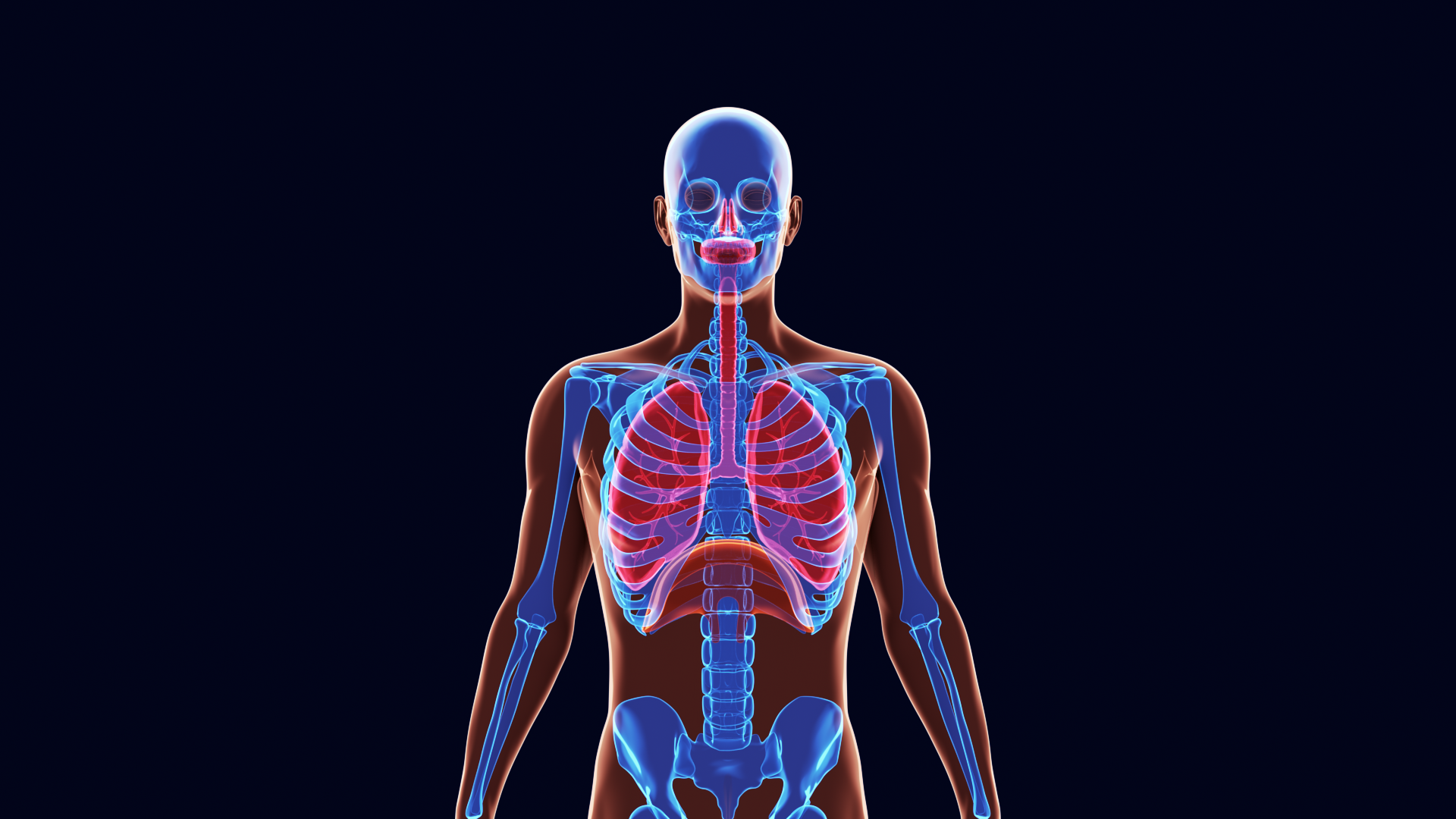 Анимационный ролик «Аква Вита» — Изображение №1 — 3D, Анимация на Dprofile