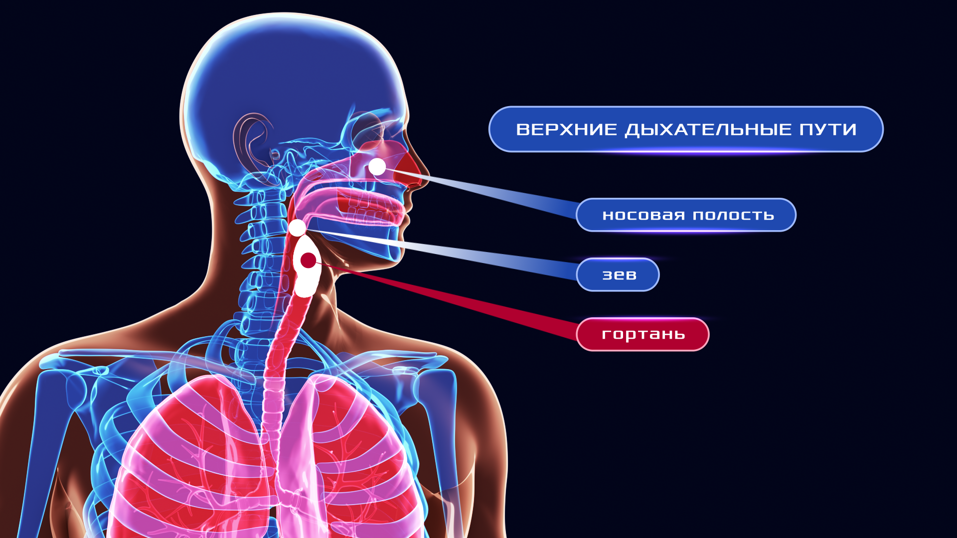 Анимационный ролик «Аква Вита» — Изображение №2 — 3D, Анимация на Dprofile