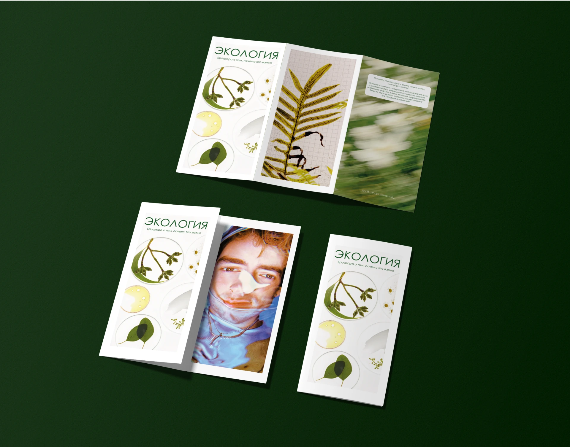 Экология | Брошюра — Изображение №3 — Брендинг, Графика на Dprofile