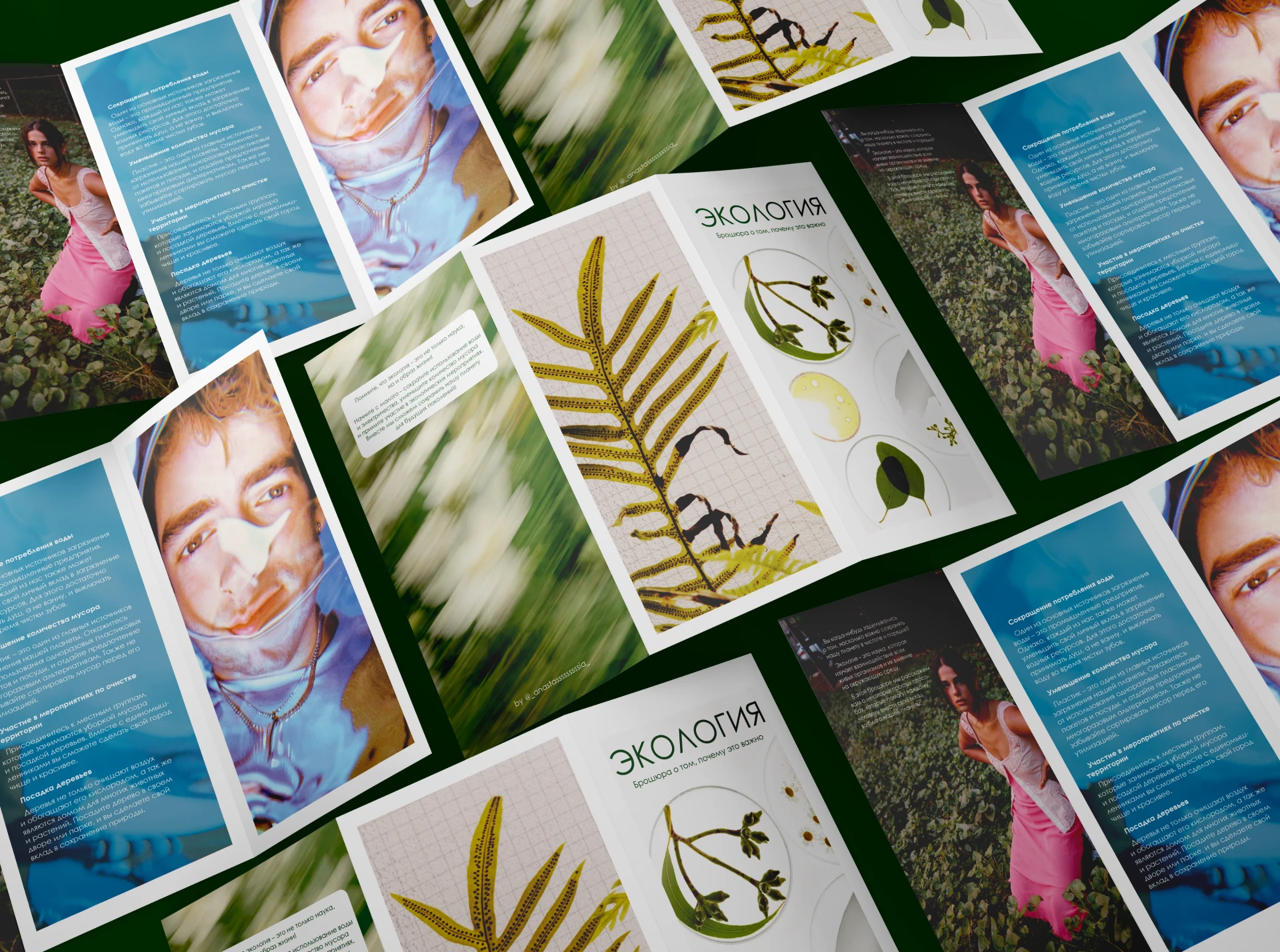 Экология | Брошюра — Изображение №1 — Брендинг, Графика на Dprofile