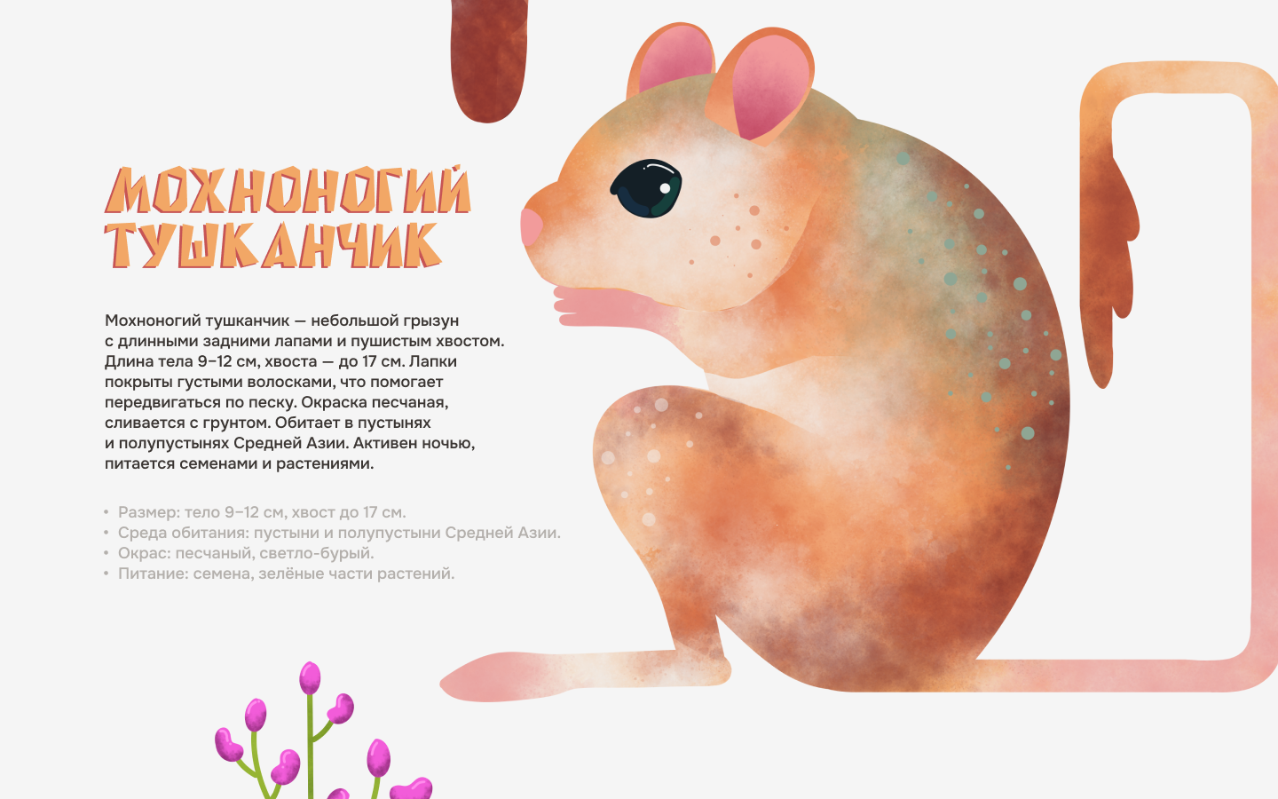 Иллюстрации для лендинга о бархане Сары-Кум — Изображение №9 — Иллюстрация на Dprofile