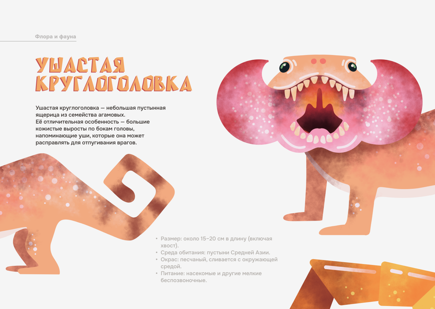 Иллюстрации для лендинга о бархане Сары-Кум — Изображение №6 — Иллюстрация на Dprofile