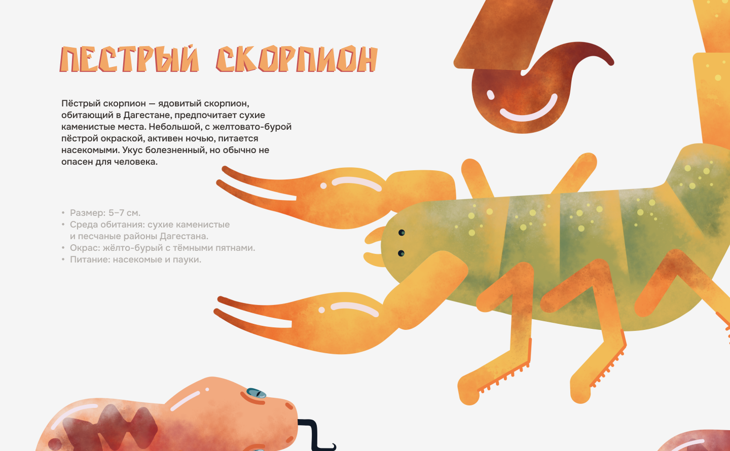 Иллюстрации для лендинга о бархане Сары-Кум — Изображение №7 — Иллюстрация на Dprofile