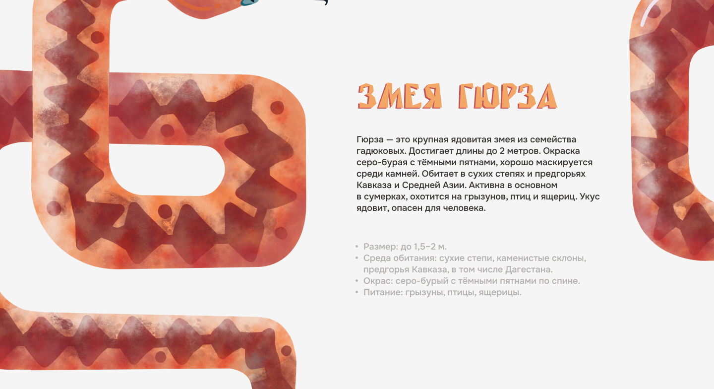 Иллюстрации для лендинга о бархане Сары-Кум — Изображение №8 — Иллюстрация на Dprofile