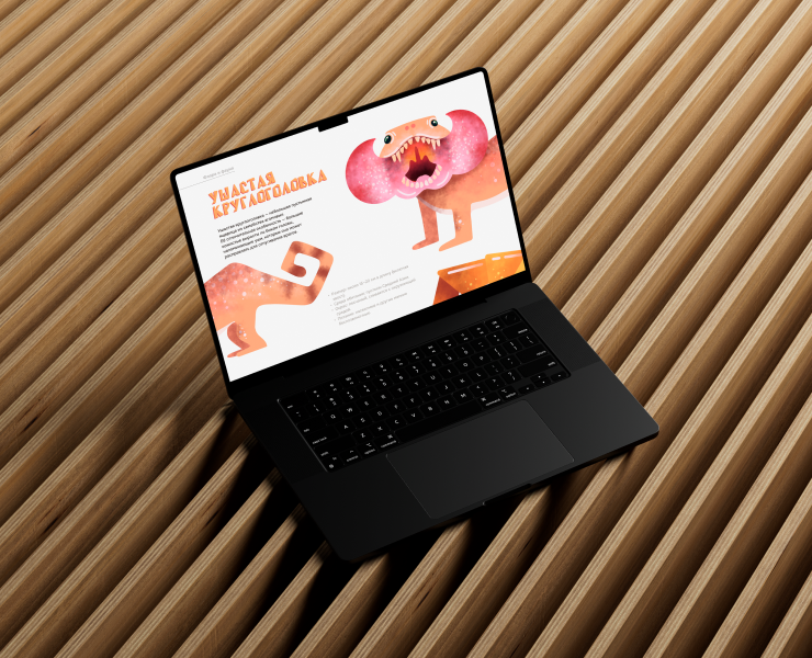 Иллюстрации для лендинга о бархане Сары-Кум — Иллюстрация на Dprofile