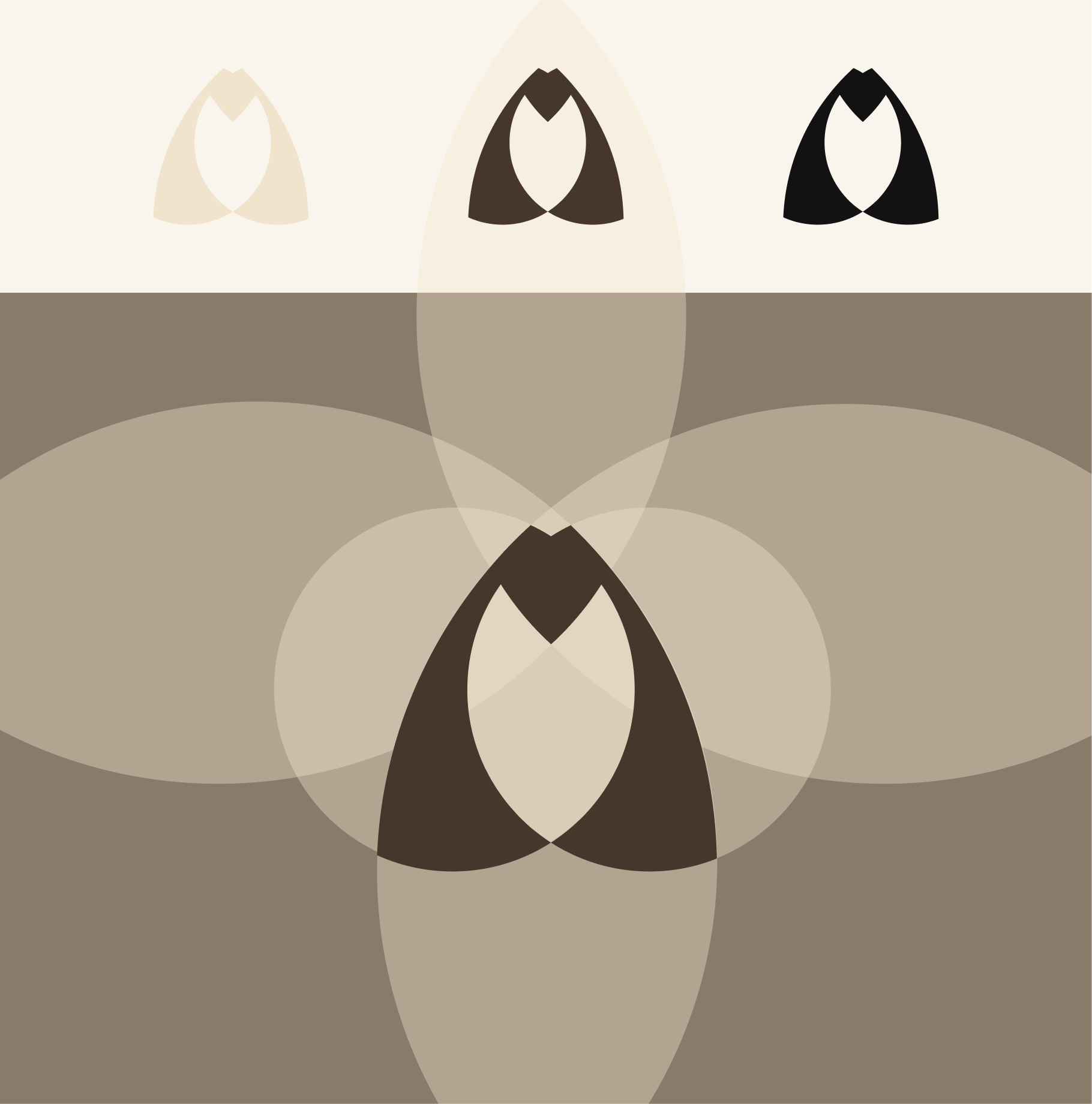 Фирменный стиль. Кофейня Моль — Изображение №13 — Брендинг на Dprofile