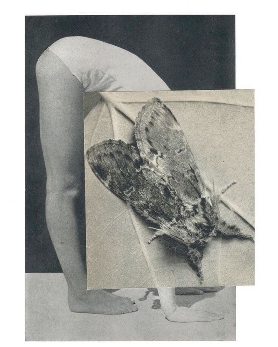 Фирменный стиль. Кофейня Моль — Изображение №8 — Брендинг на Dprofile