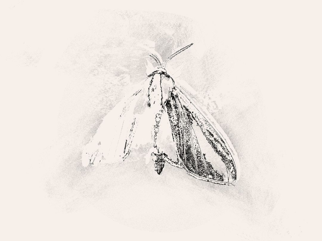 Фирменный стиль. Кофейня Моль — Изображение №5 — Брендинг на Dprofile