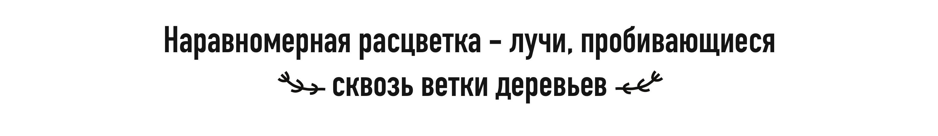 Ужасно прекрасный алфавит. БКВЧ 2025 — Изображение №15 — Брендинг, Графика на Dprofile
