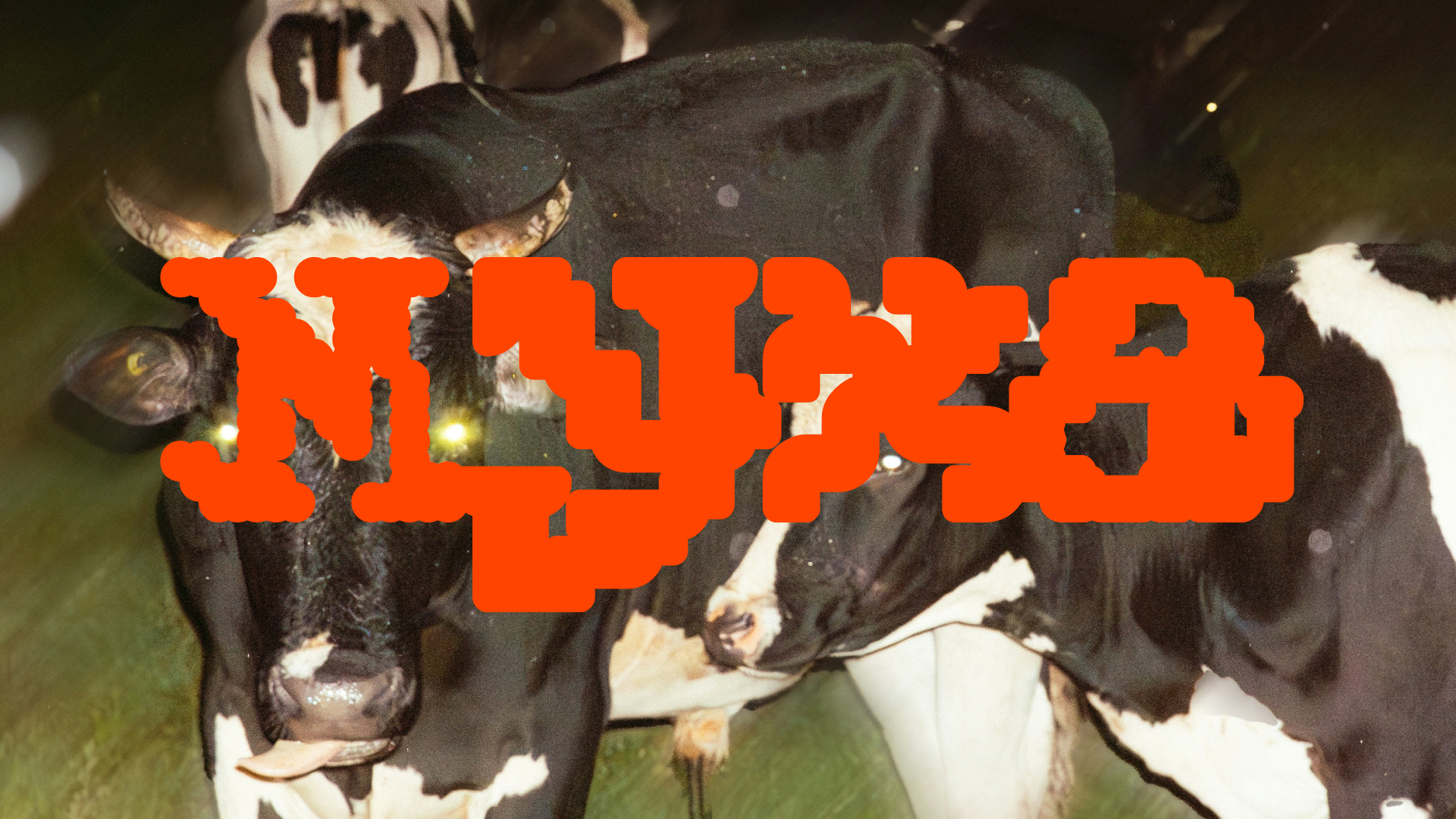 БКВЧ 2025 — muha font — Изображение №58 — Графика на Dprofile