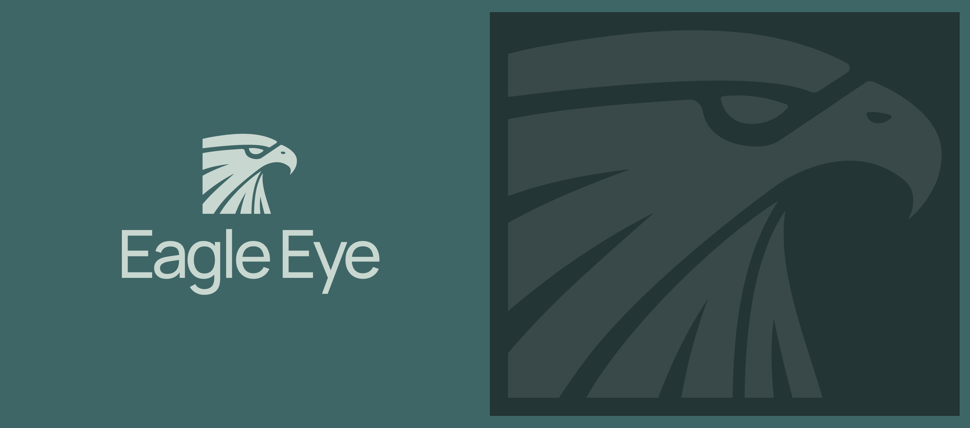 Eagle Eye Construction — Изображение №3 — Брендинг на Dprofile