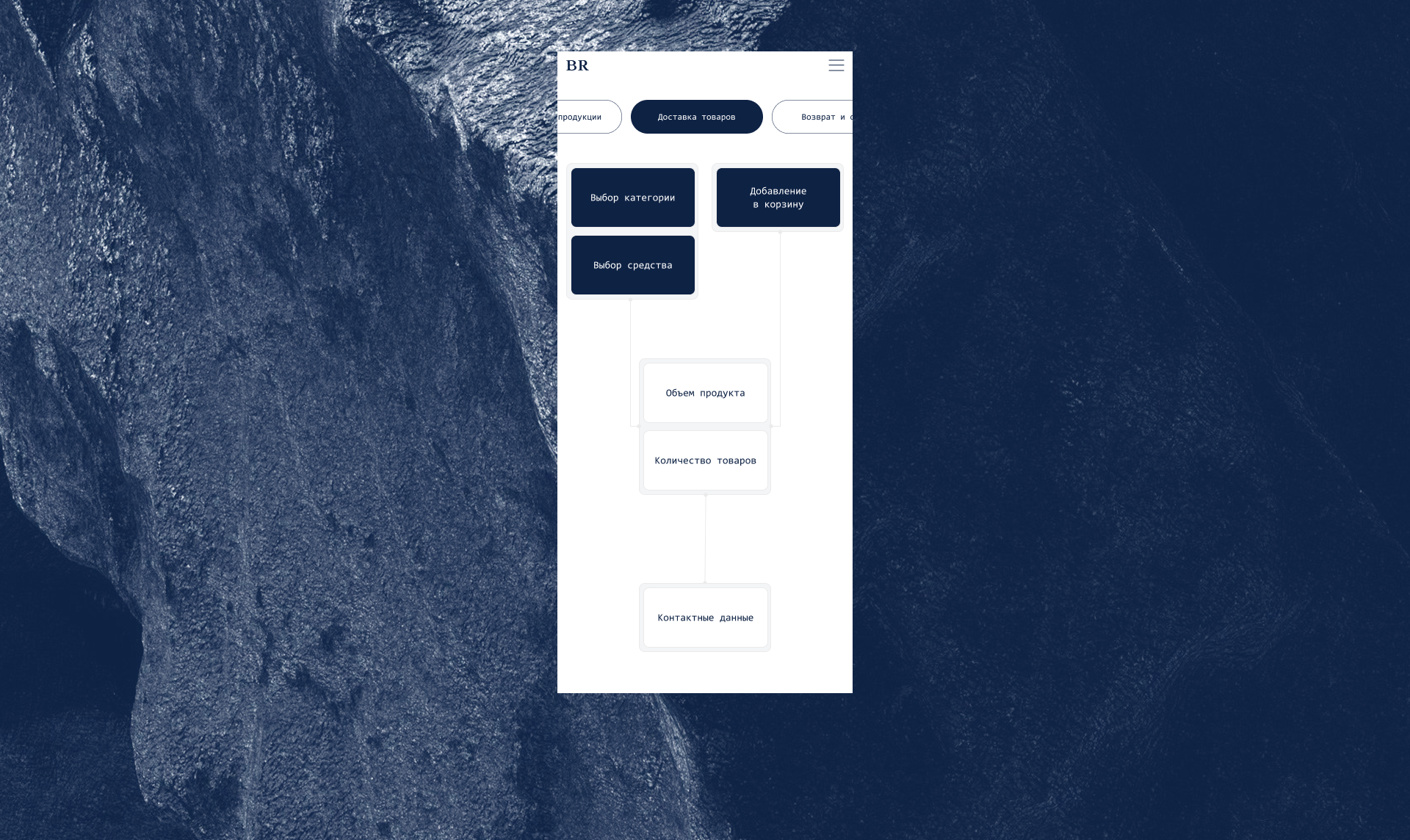 Biologique Recherche — Изображение №14 — Интерфейсы на Dprofile