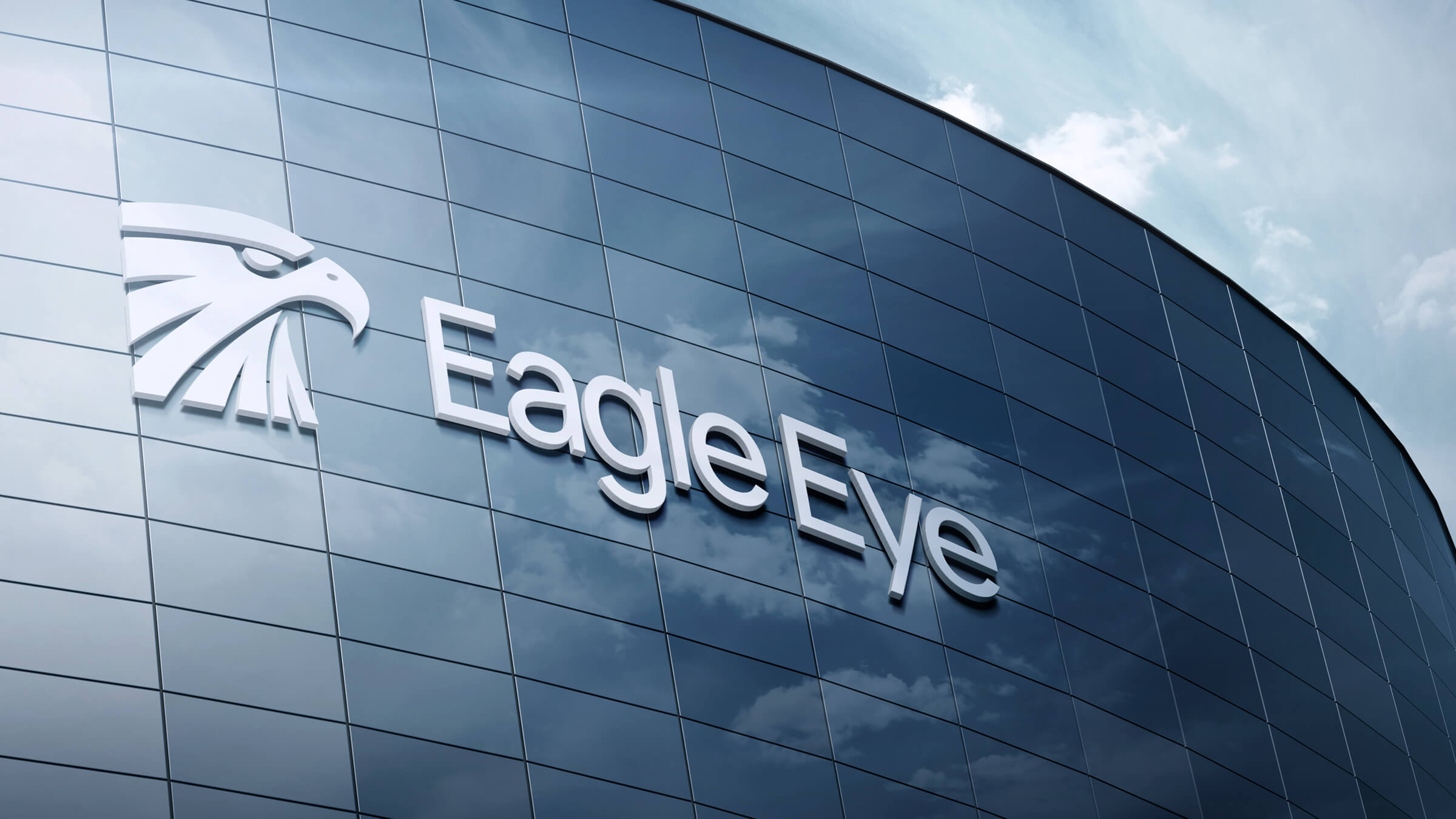 Eagle Eye Construction — Изображение №23 — Брендинг на Dprofile