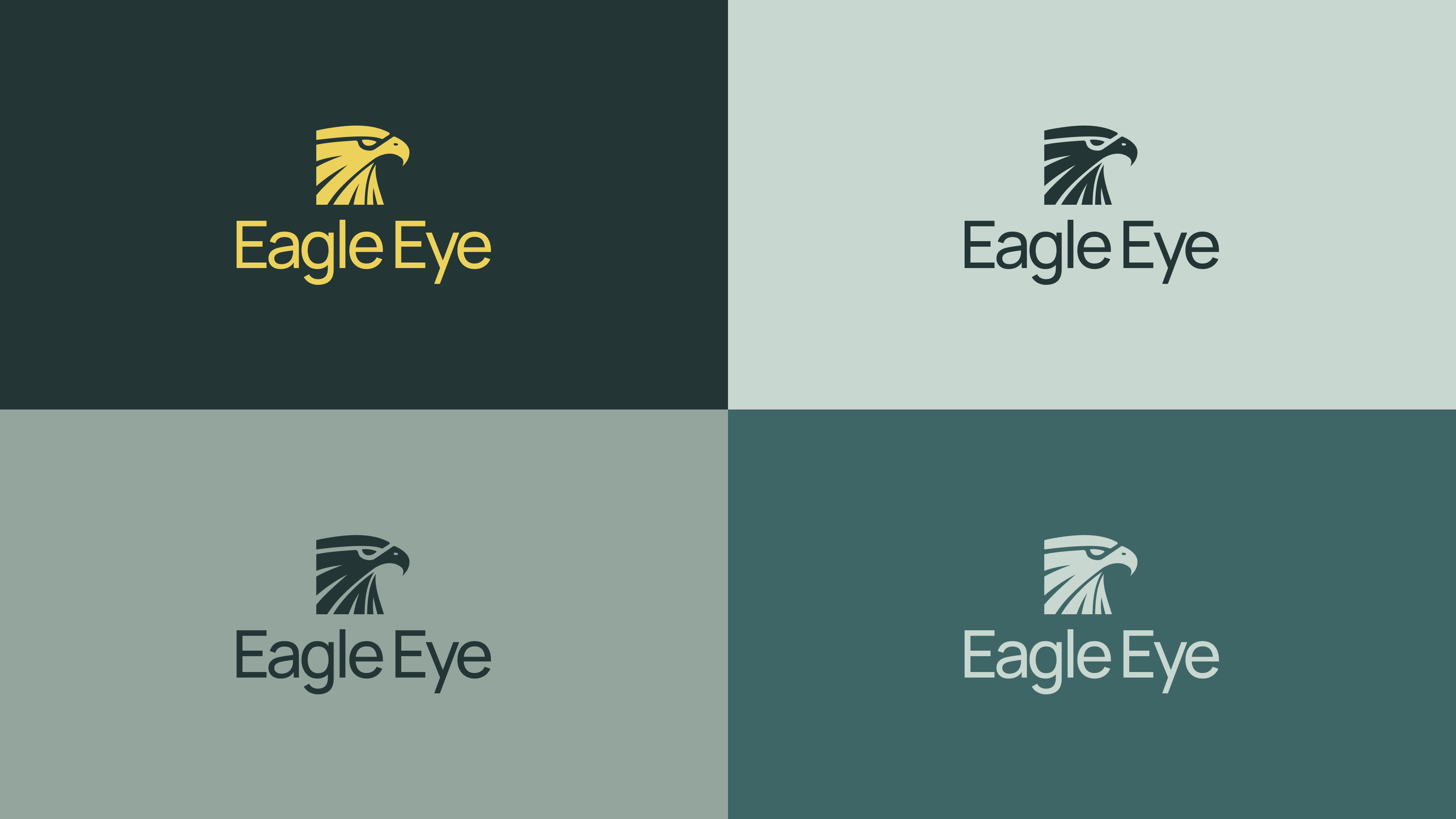 Eagle Eye Construction — Изображение №6 — Брендинг на Dprofile