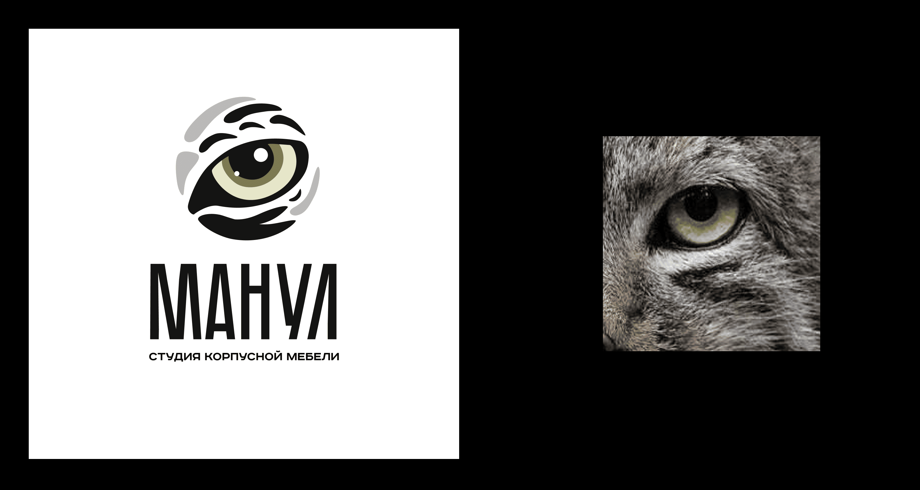 Манул — Изображение №4 — Брендинг на Dprofile