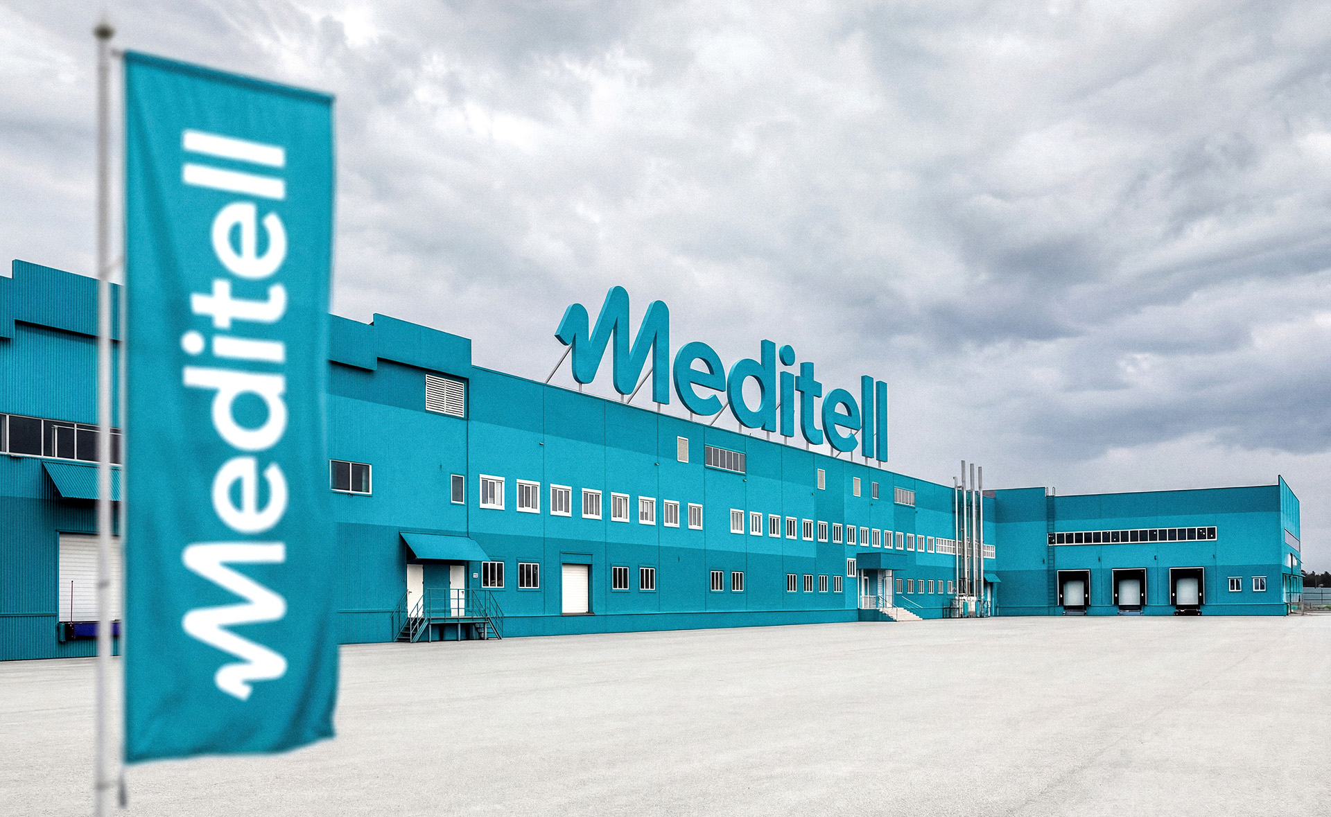 Meditell Group. Айдентика — Изображение №2 — Брендинг на Dprofile