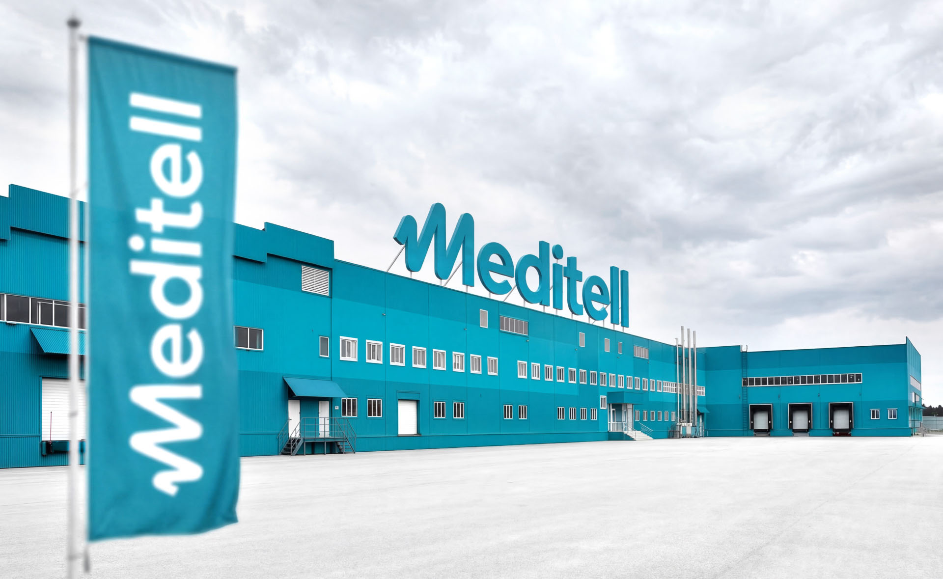 Meditell Group. Айдентика — Изображение №2 — Брендинг на Dprofile