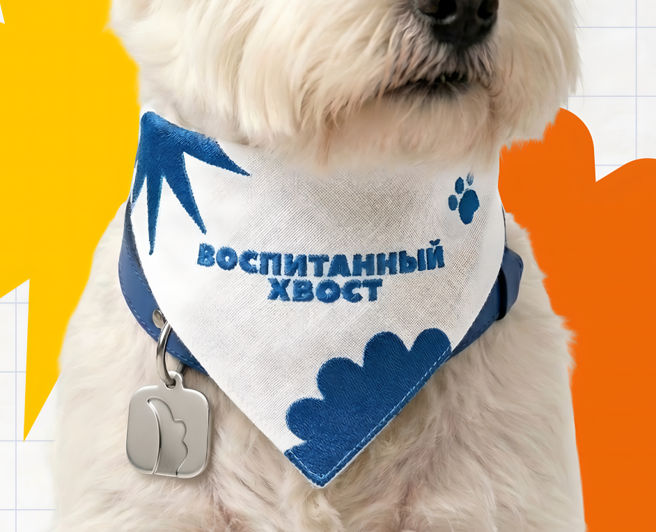 Воспитанный хвост — брендинг социального проекта на Dprofile