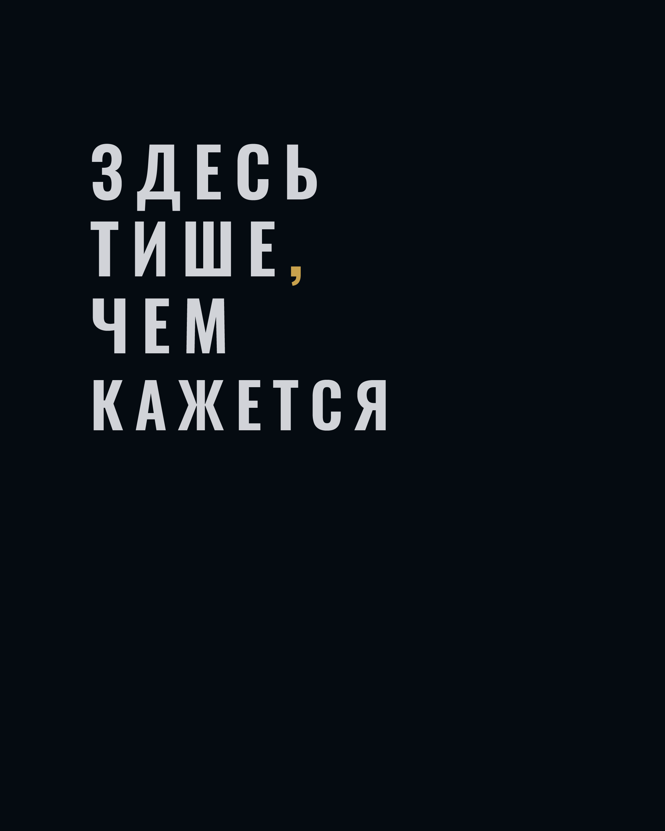 СЕВЕРНАЯ ТЕНЬ — Изображение №2 — Брендинг на Dprofile