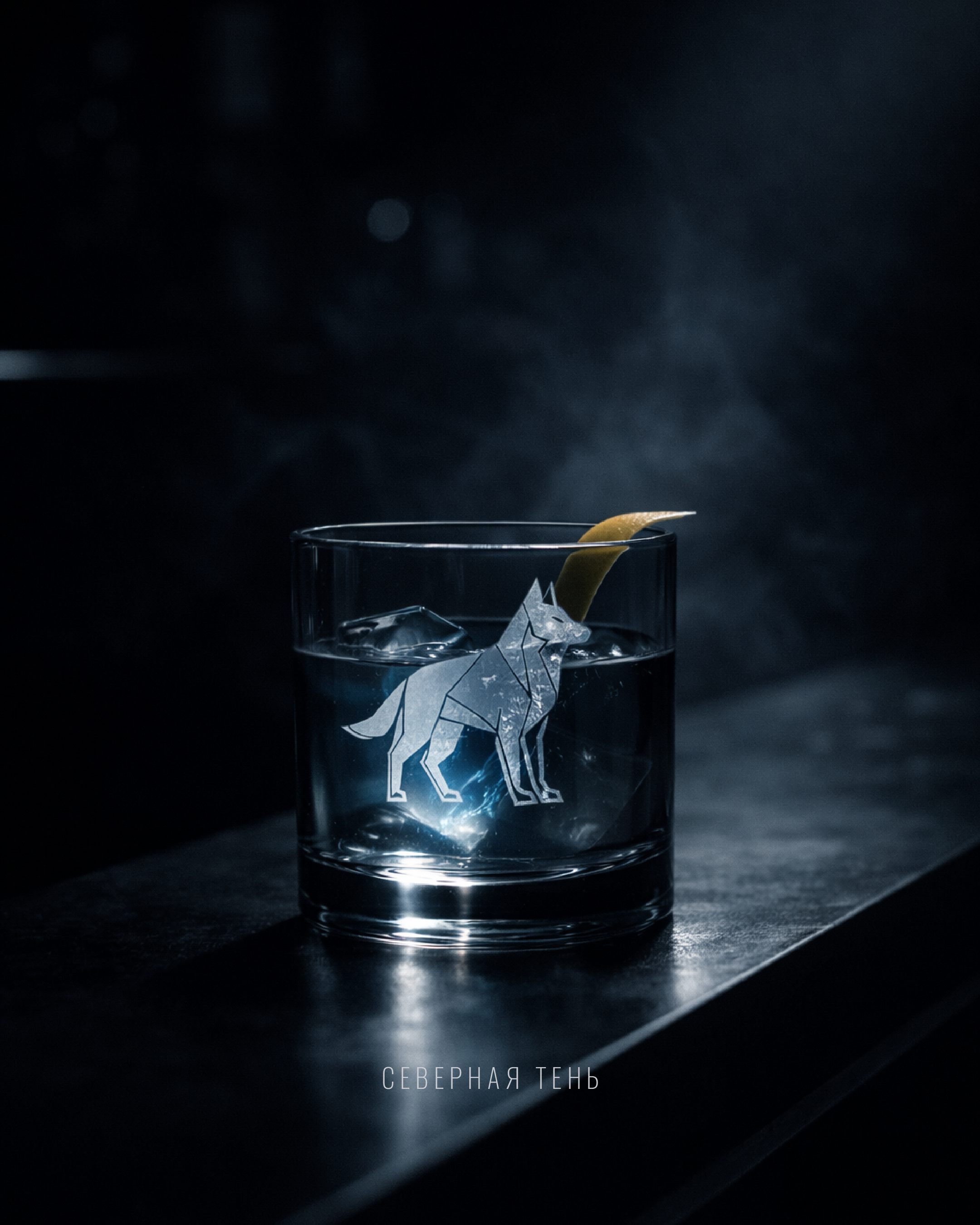 СЕВЕРНАЯ ТЕНЬ — Изображение №7 — Брендинг на Dprofile