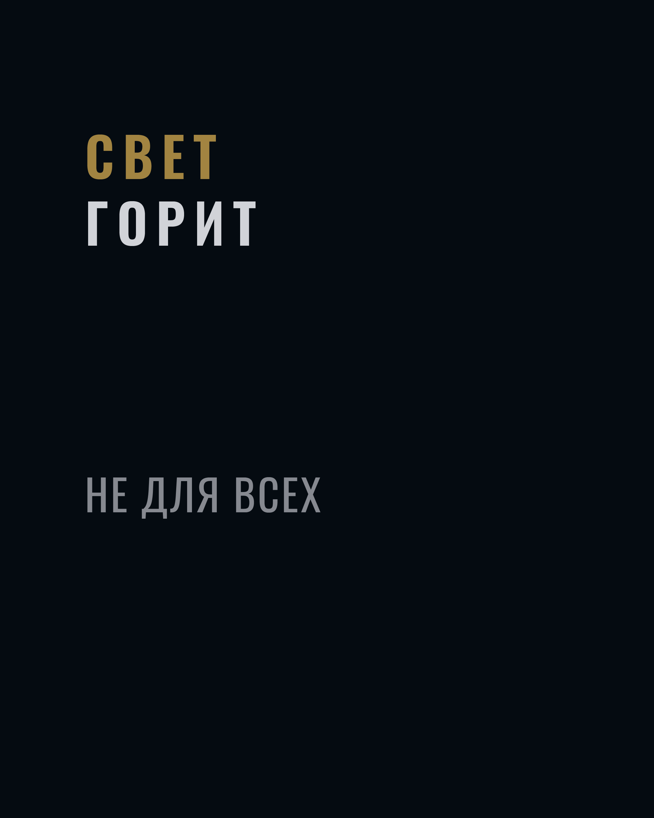 СЕВЕРНАЯ ТЕНЬ — Изображение №4 — Брендинг на Dprofile