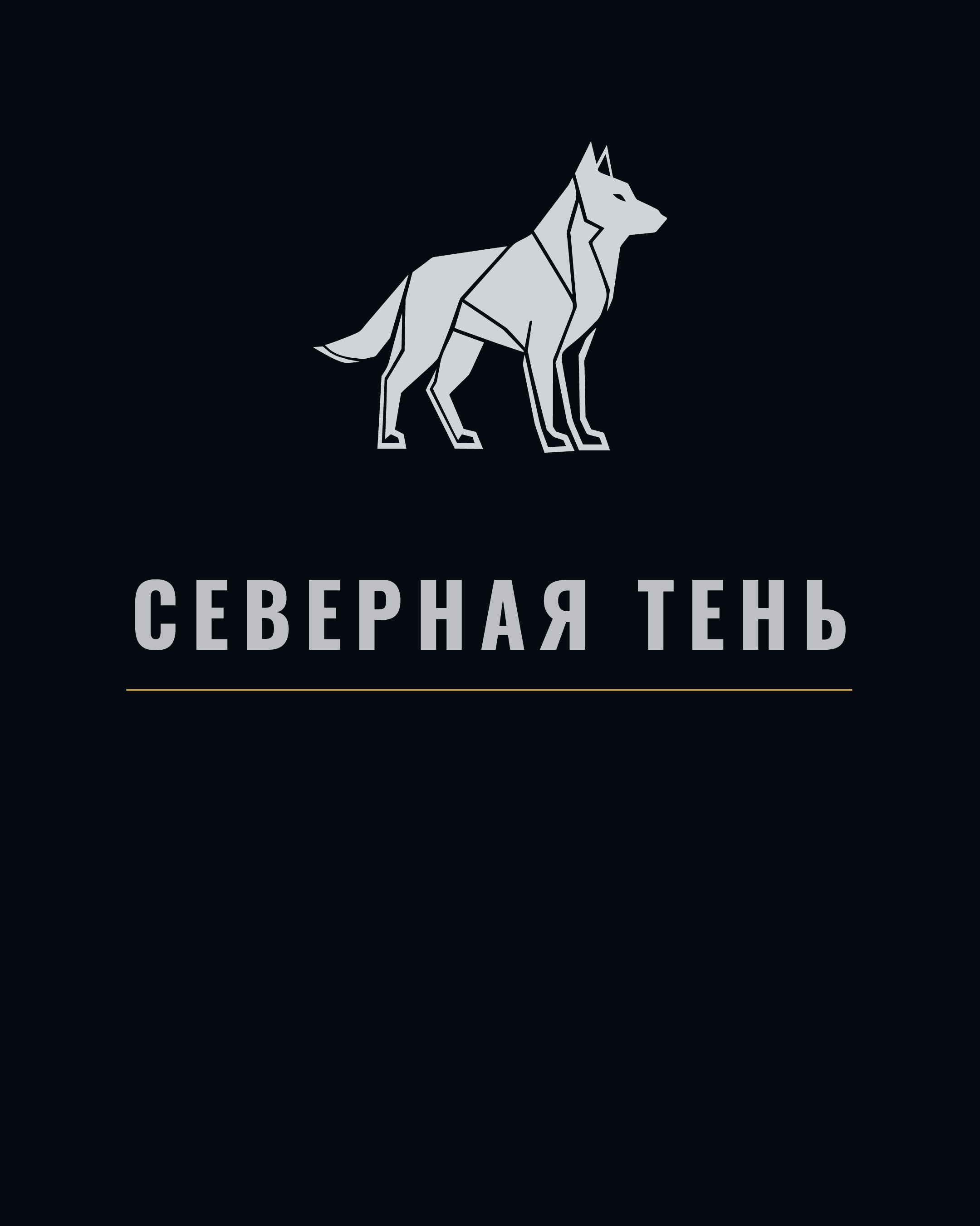 СЕВЕРНАЯ ТЕНЬ — Изображение №1 — Брендинг на Dprofile