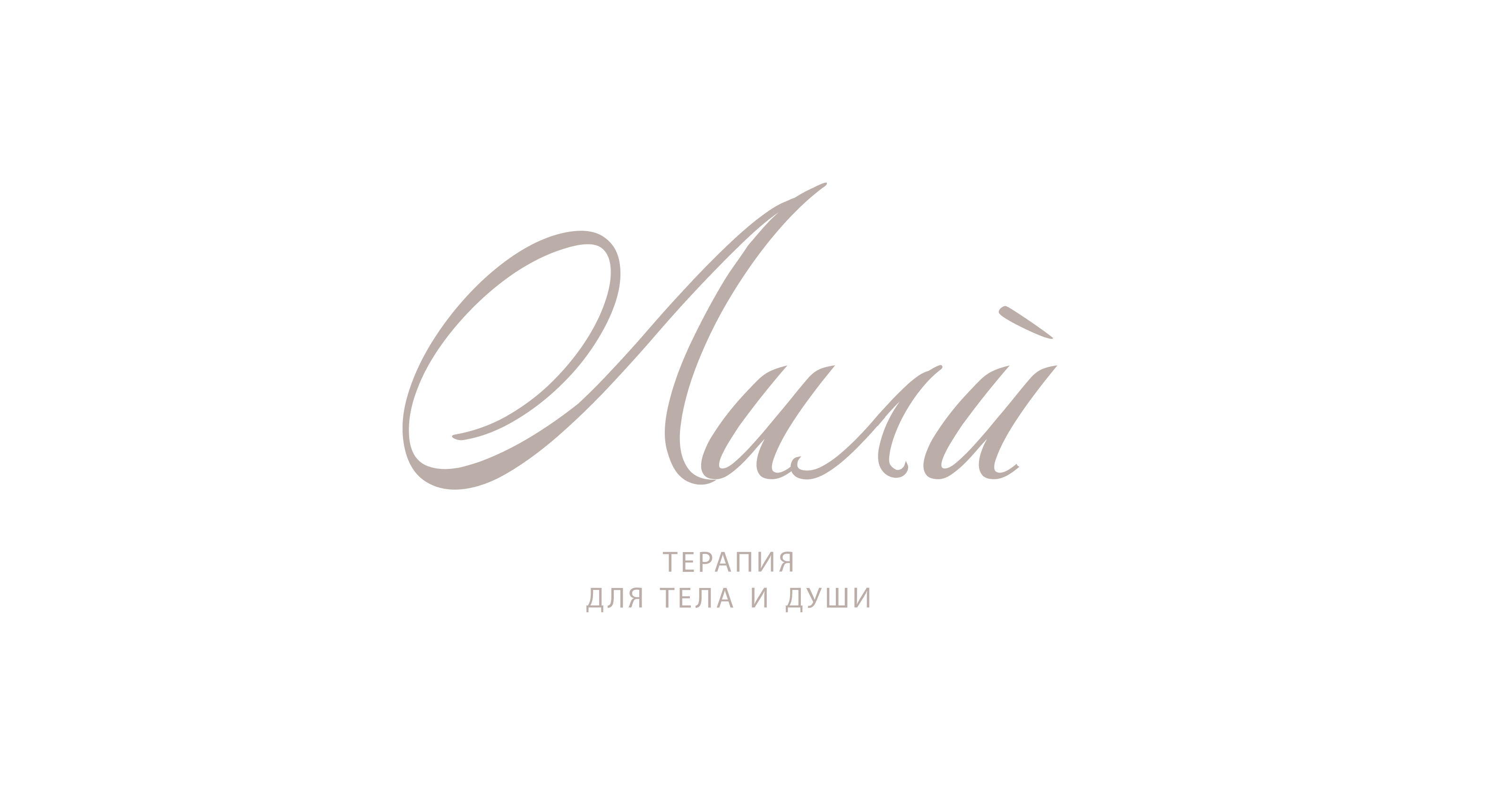 Лили́ | фирменный стиль | Brand identity — Изображение №3 — Брендинг на Dprofile