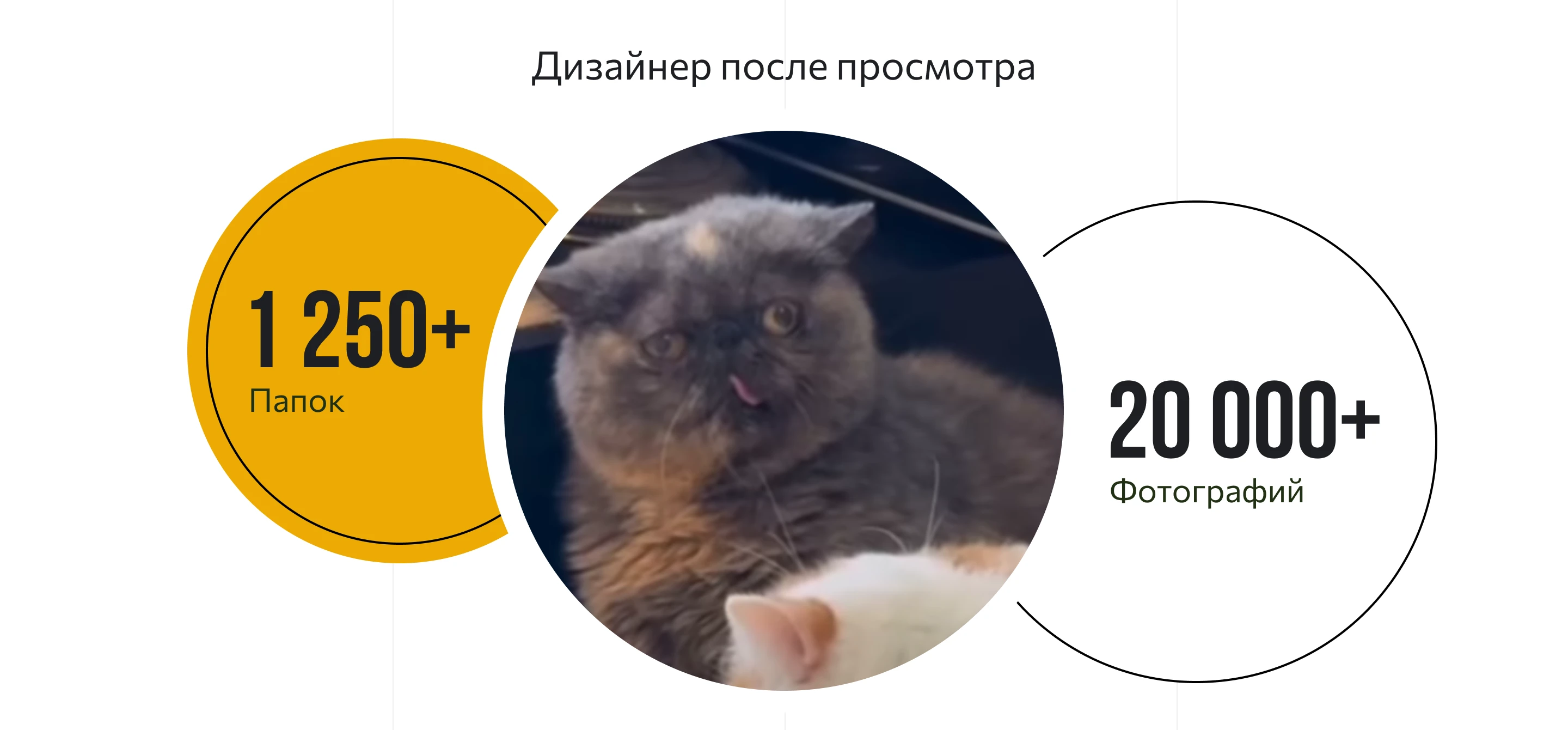 Презентации для ТОПов Сыроварни | Presentation | Презентация | Дизайн презентаций — Изображение №17 — Графика, Маркетинг на Dprofile