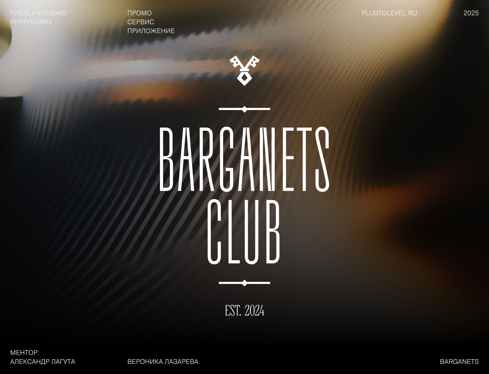 Barganets. Промо. Сервис. Приложение — Изображение №1 — Интерфейсы на Dprofile