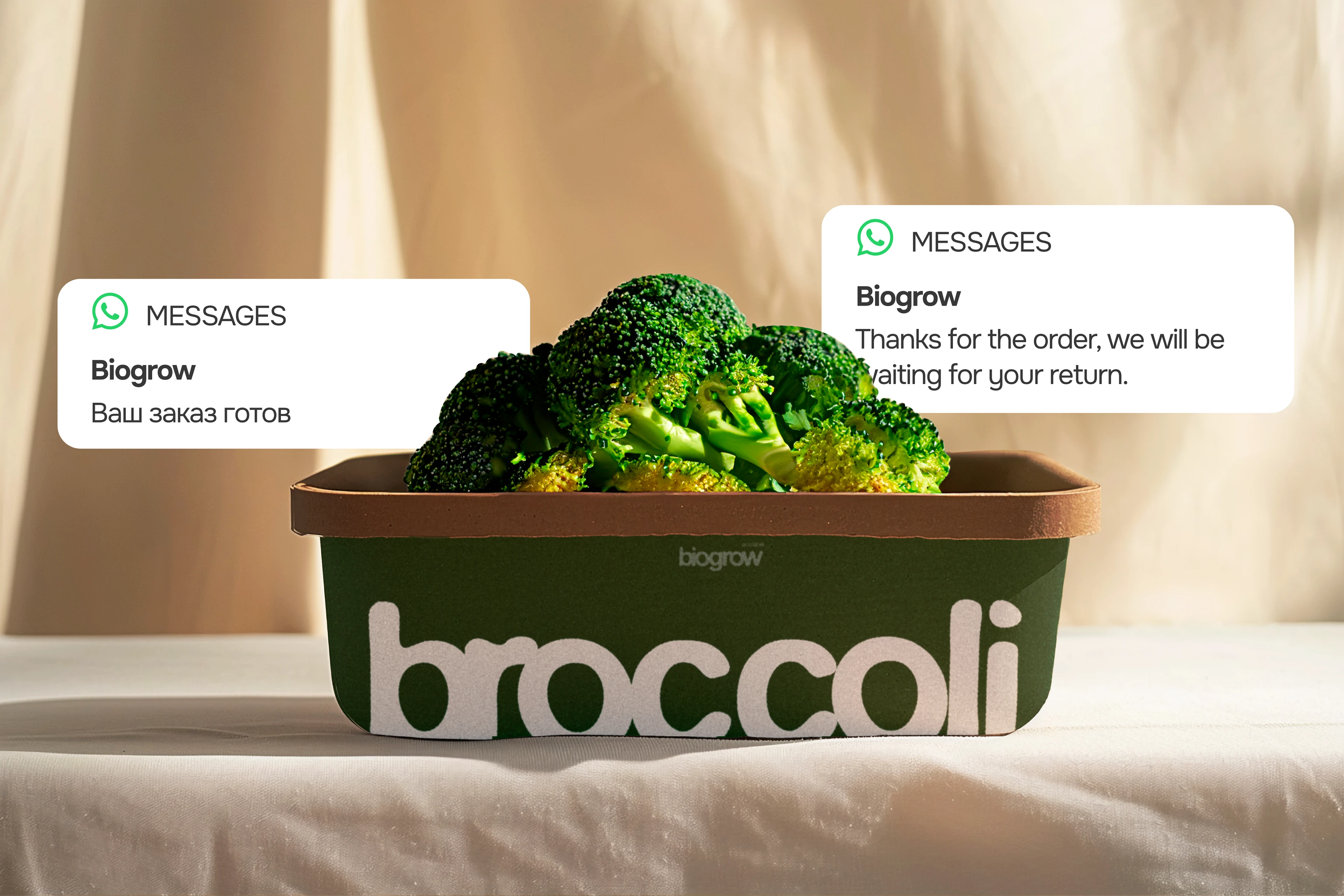 BIOGROW | BRAND IDENTITY | ФИРМЕННЫЙ СТИЛЬ — Изображение №11 — Интерфейсы, Брендинг на Dprofile