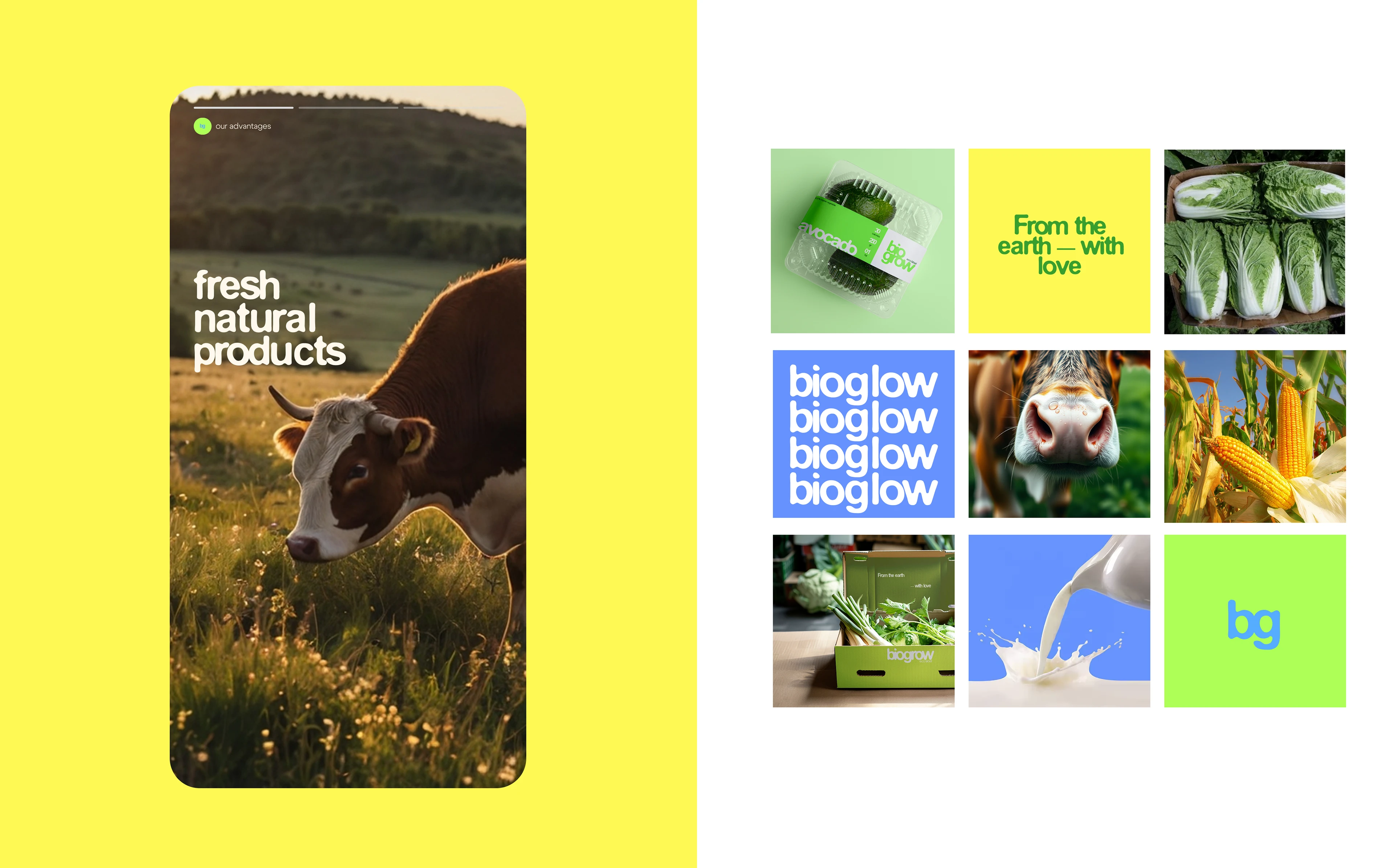 BIOGROW | BRAND IDENTITY | ФИРМЕННЫЙ СТИЛЬ — Изображение №5 — Интерфейсы, Брендинг на Dprofile