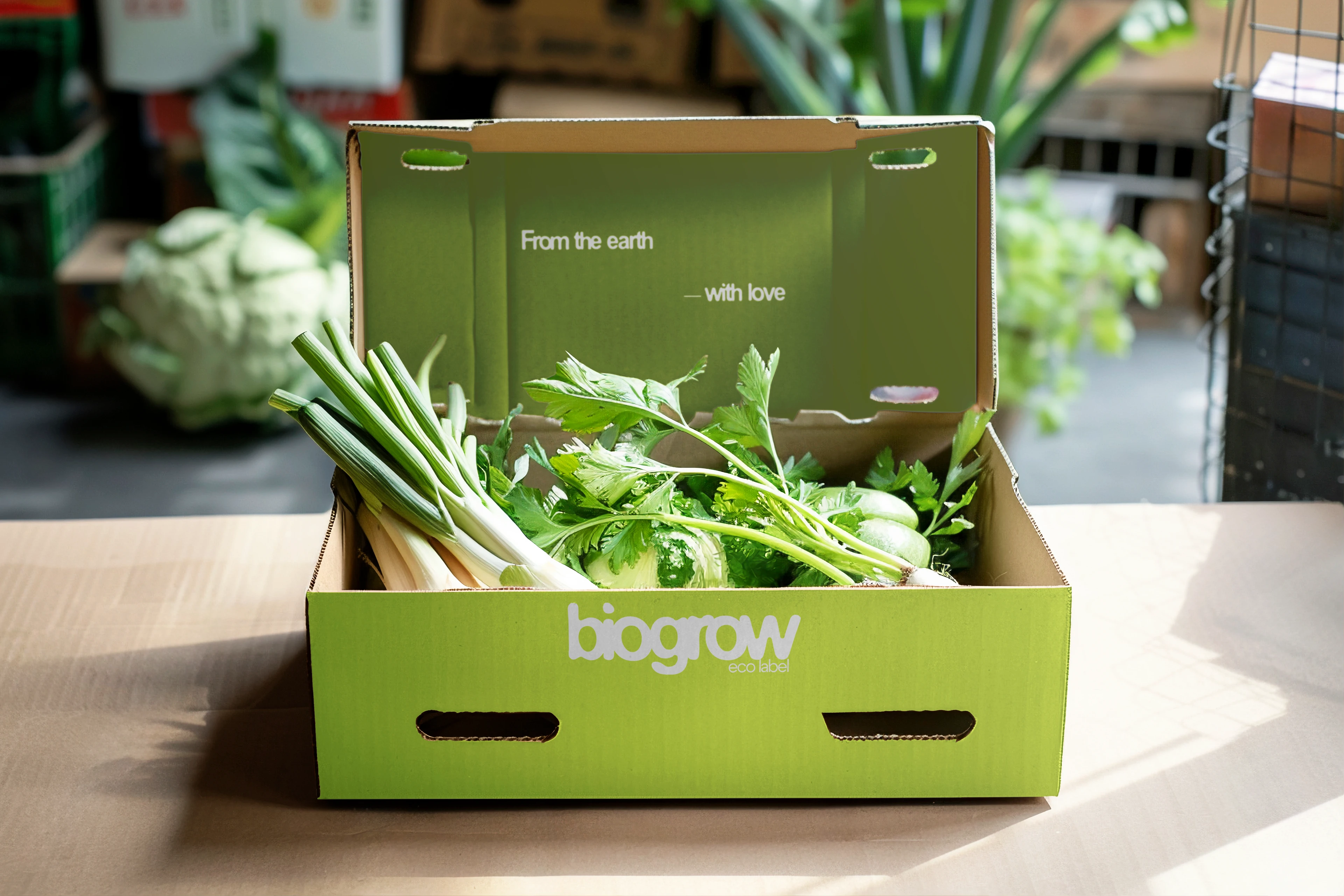 BIOGROW | BRAND IDENTITY | ФИРМЕННЫЙ СТИЛЬ — Изображение №4 — Интерфейсы, Брендинг на Dprofile