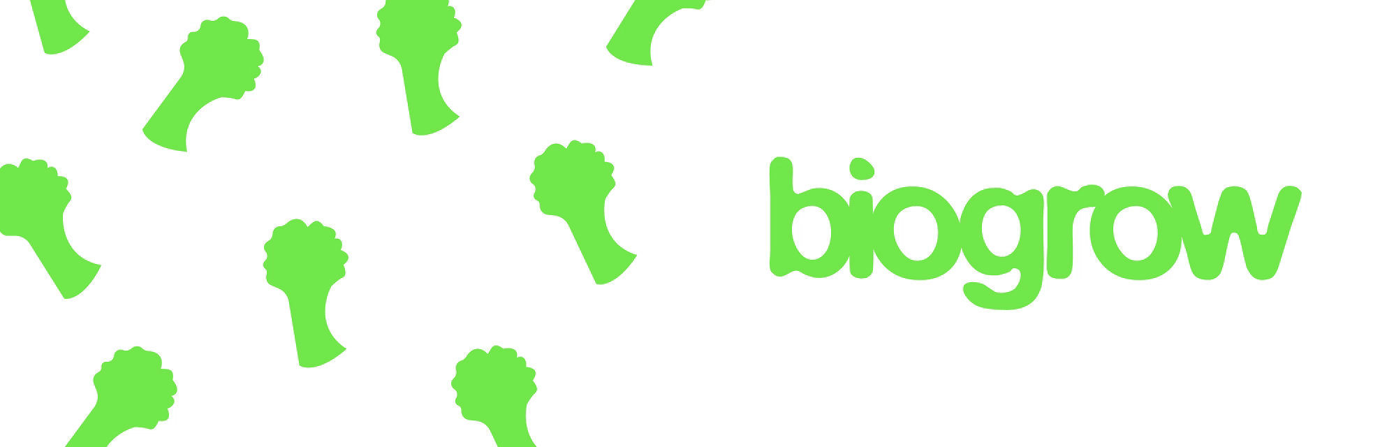 BIOGROW | BRAND IDENTITY | ФИРМЕННЫЙ СТИЛЬ — Изображение №12 — Интерфейсы, Брендинг на Dprofile