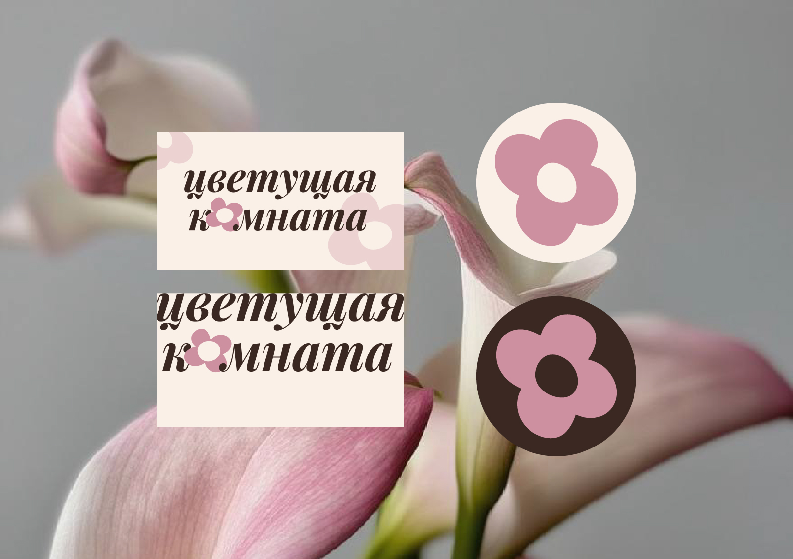 Фирменный стиль для цветочного магазина — Изображение №7 — Брендинг на Dprofile