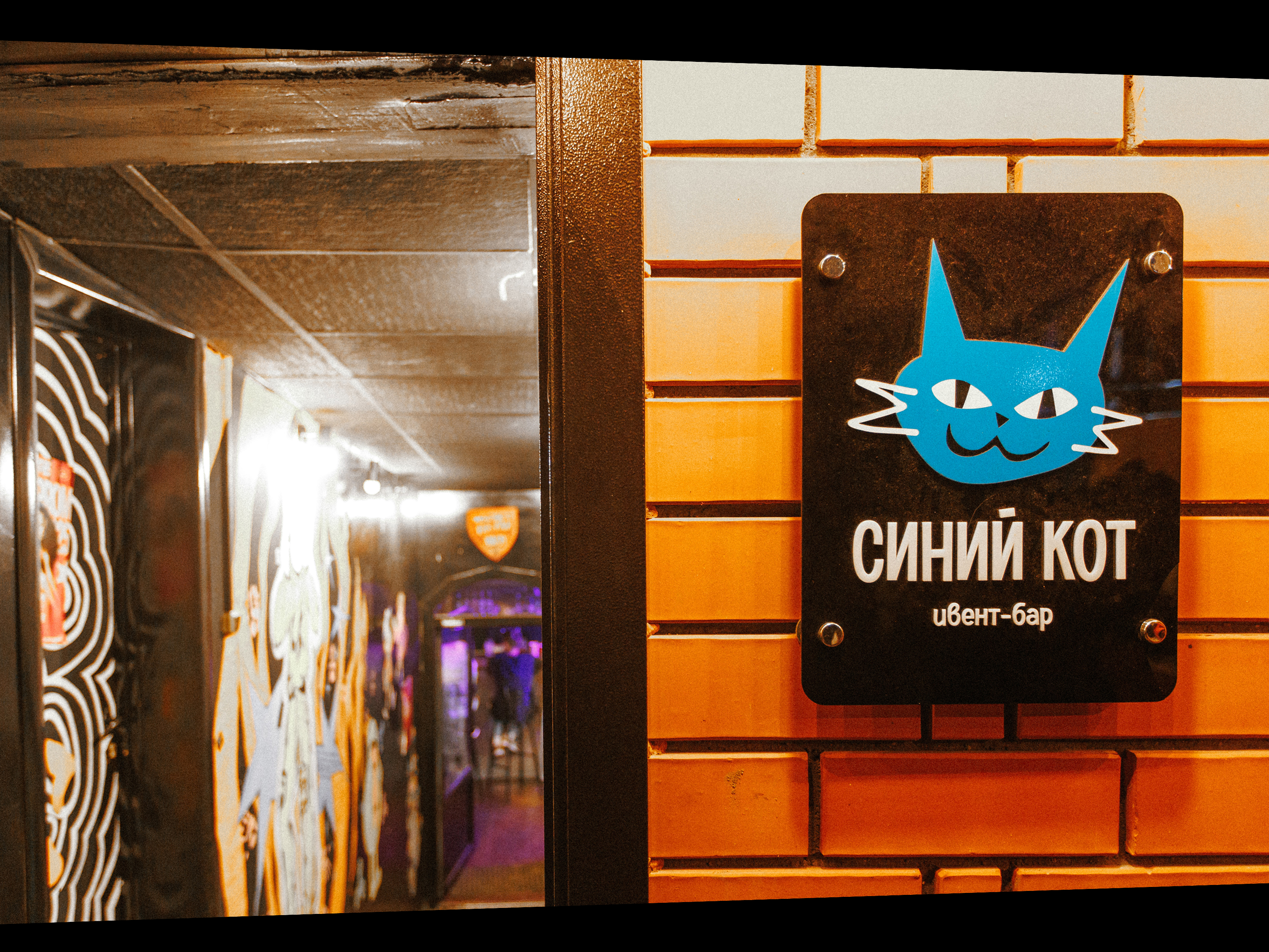 Синий Кот | Ивент-бар — Изображение №12 — Брендинг, Графика на Dprofile