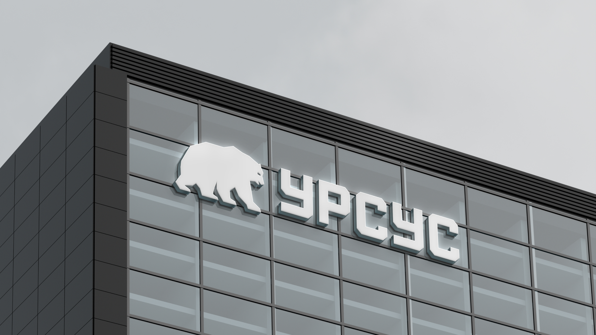 Урсус – интернет-магазин — Изображение №3 — Интерфейсы, Брендинг на Dprofile